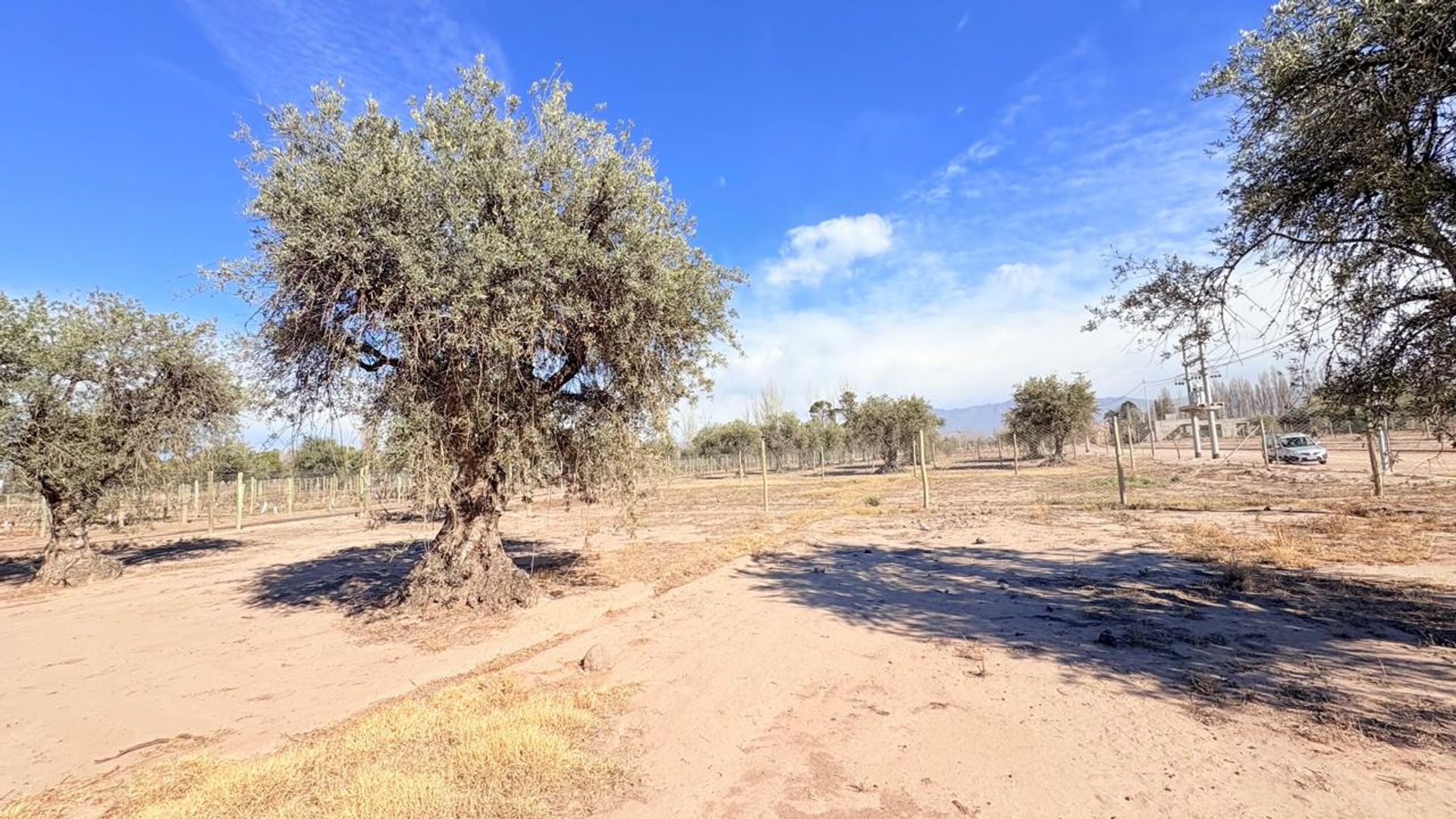 Lote en Venta en Maipu, Mendoza