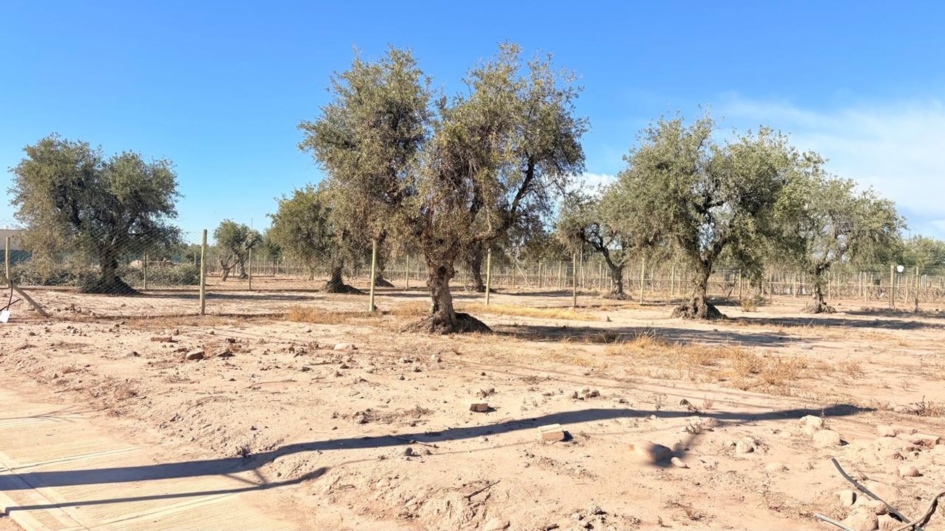 Lote en Venta en Maipu, Mendoza