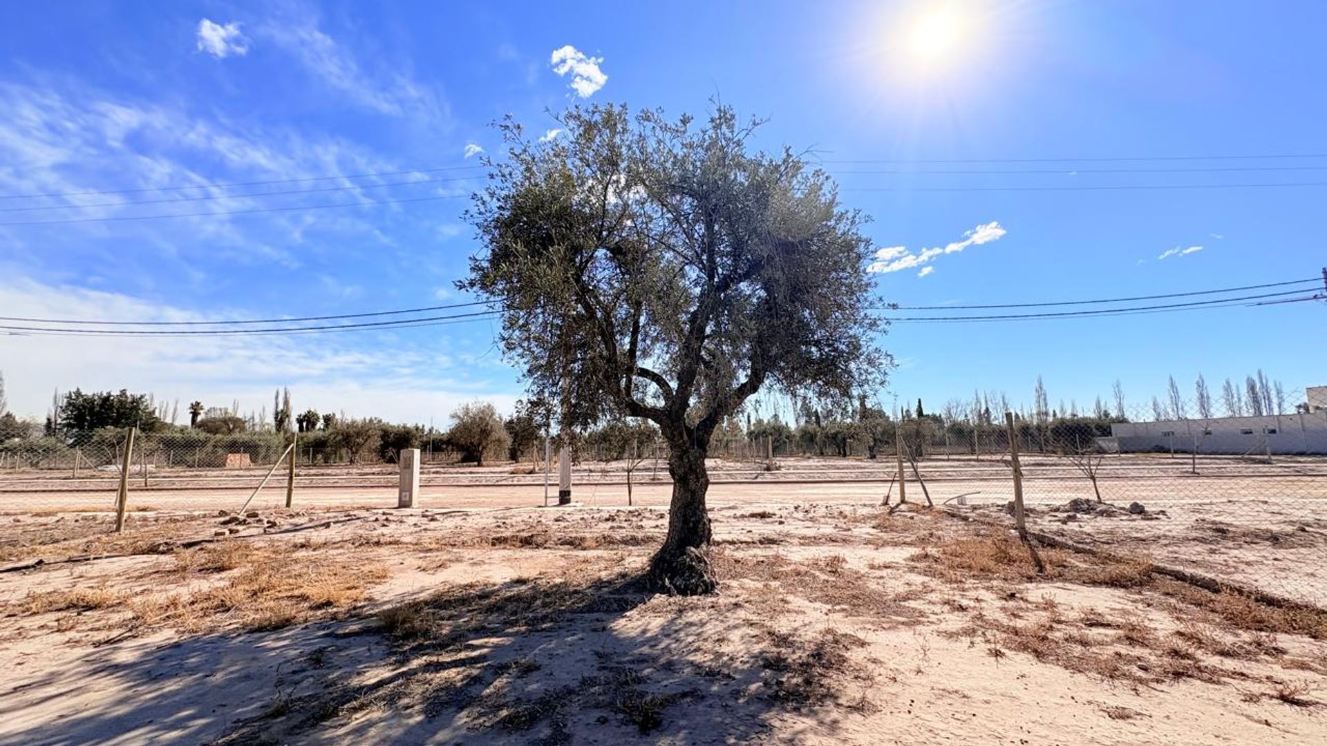 Lote en Venta en Maipu, Mendoza