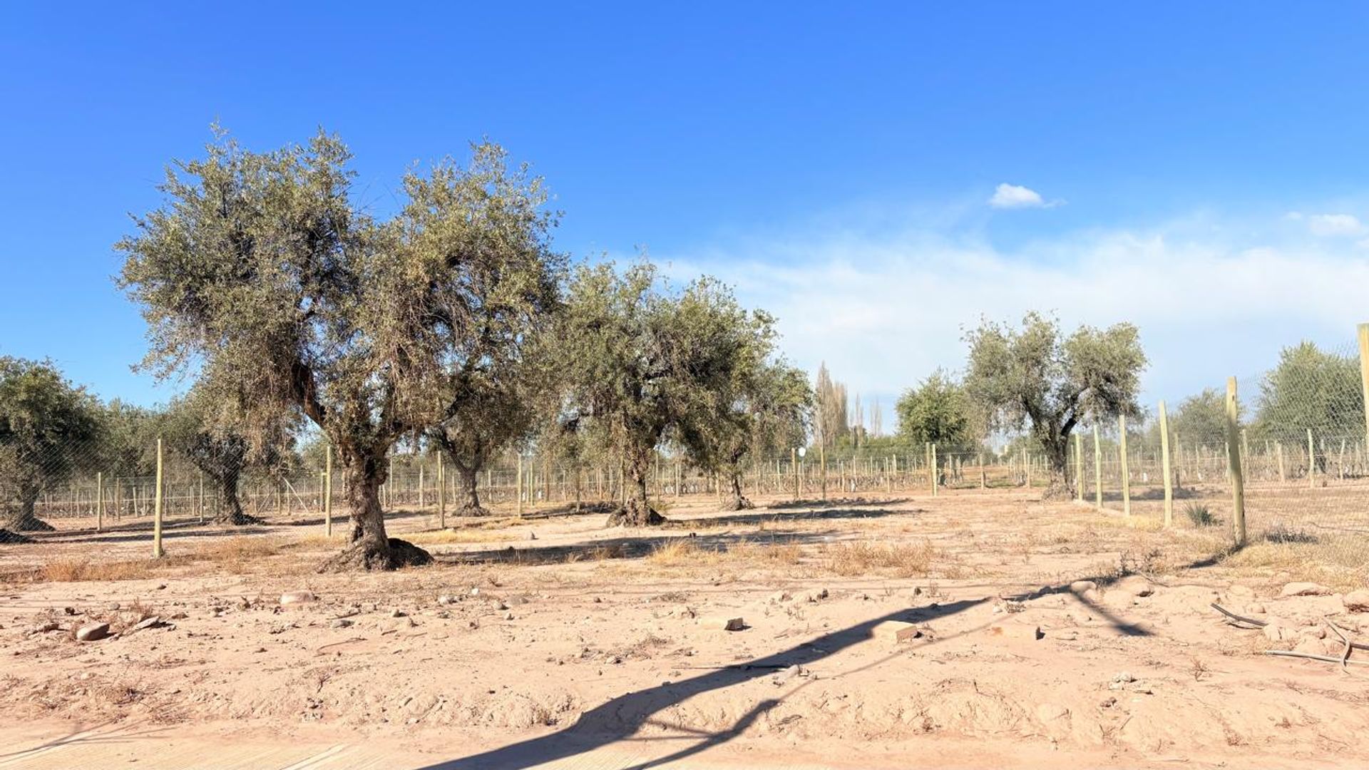 Lote en Venta en Maipu, Mendoza