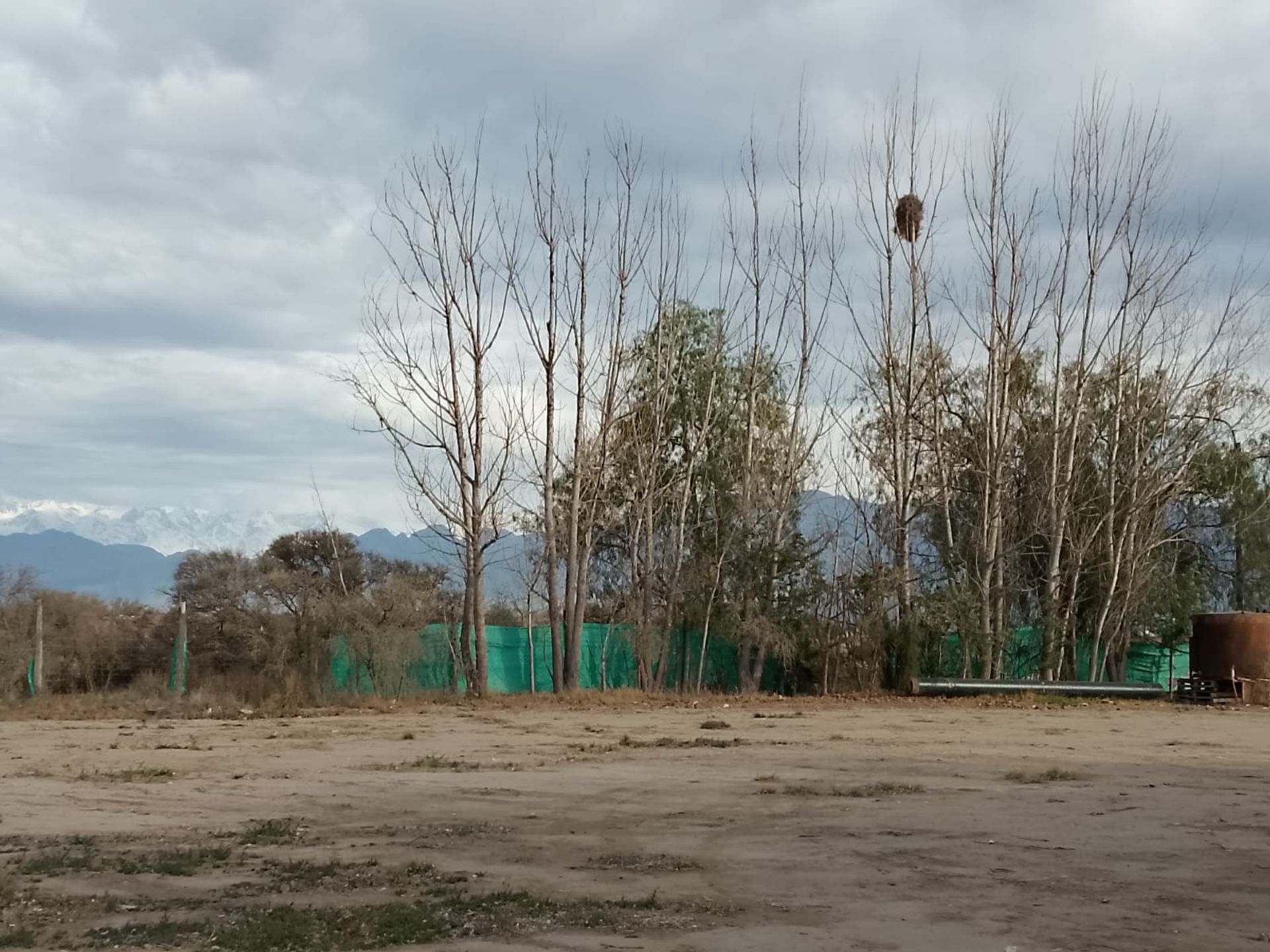 Galpon en Venta en Lujan de Cuyo, Mendoza