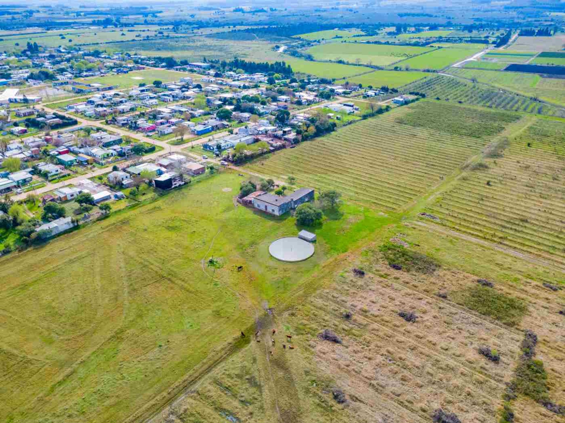 Venta de campo 5ha en Ruta 75 Villa Jardines Pando - 17