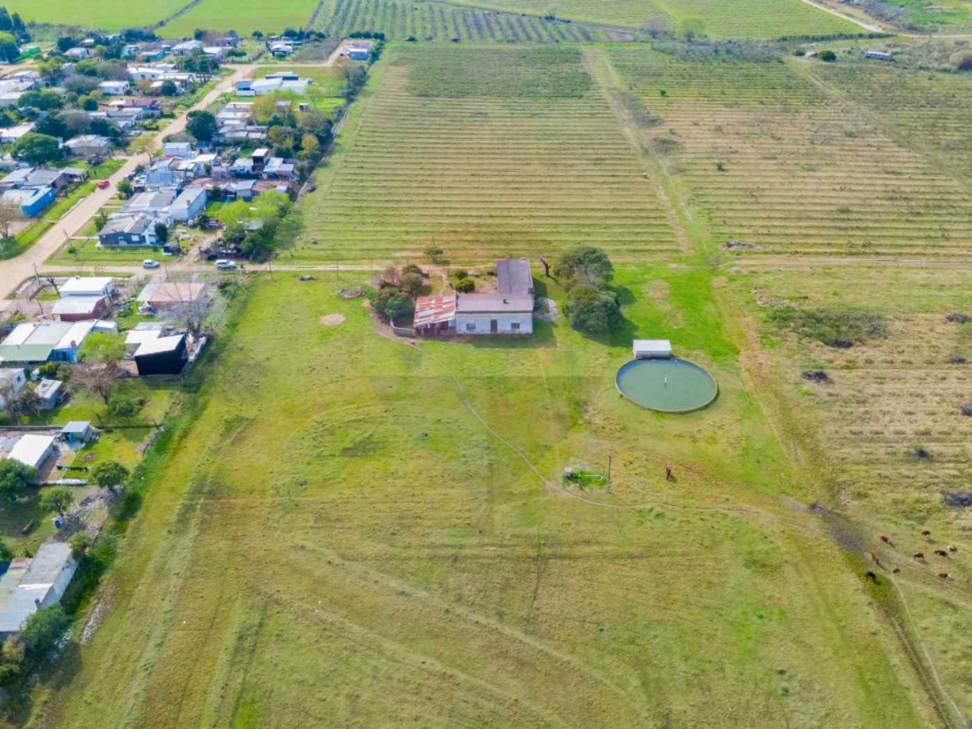 Venta de campo 5ha en Ruta 75 Villa Jardines Pando - 16