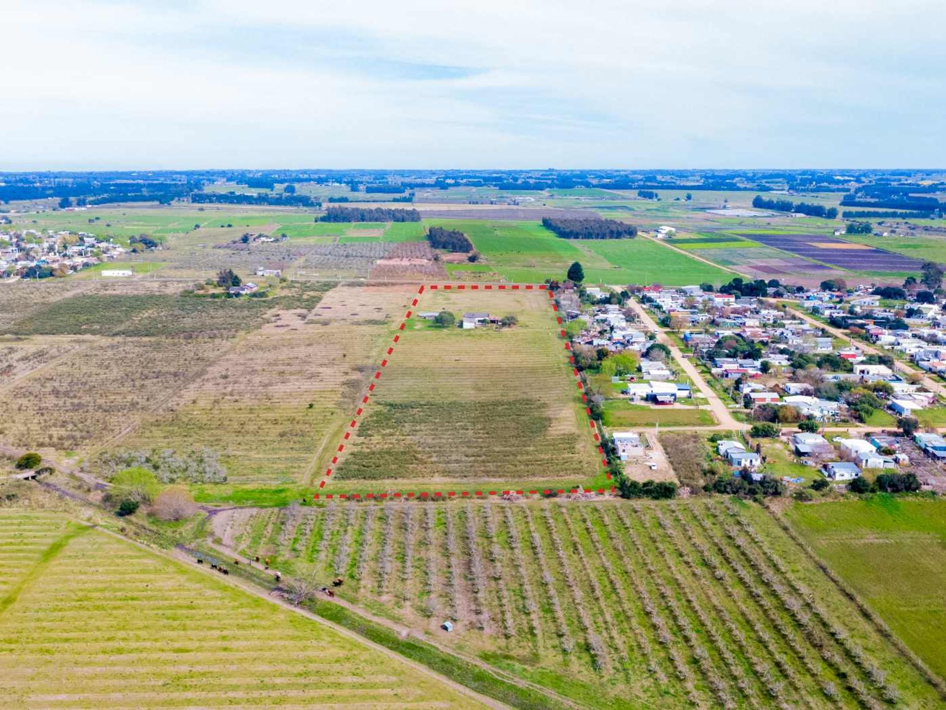 Venta de campo 5ha en Ruta 75 Villa Jardines Pando - 18