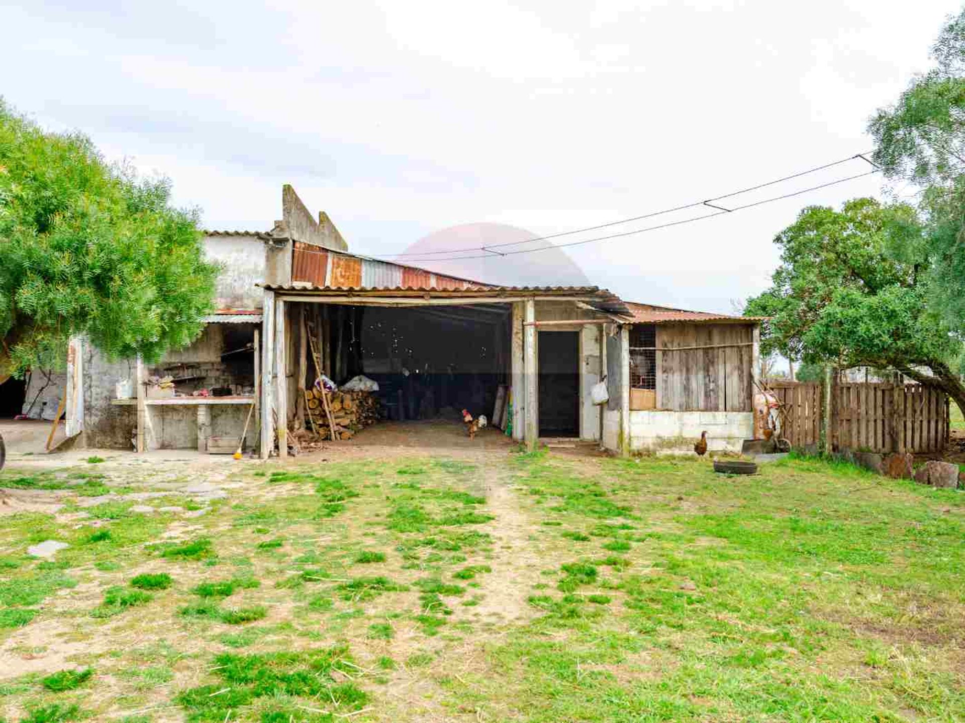 Venta de campo 5ha en Ruta 75 Villa Jardines Pando - 11