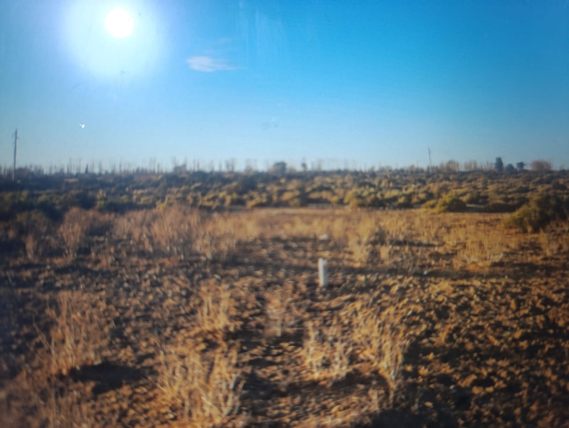 Lote en Venta en Lavalle, Mendoza