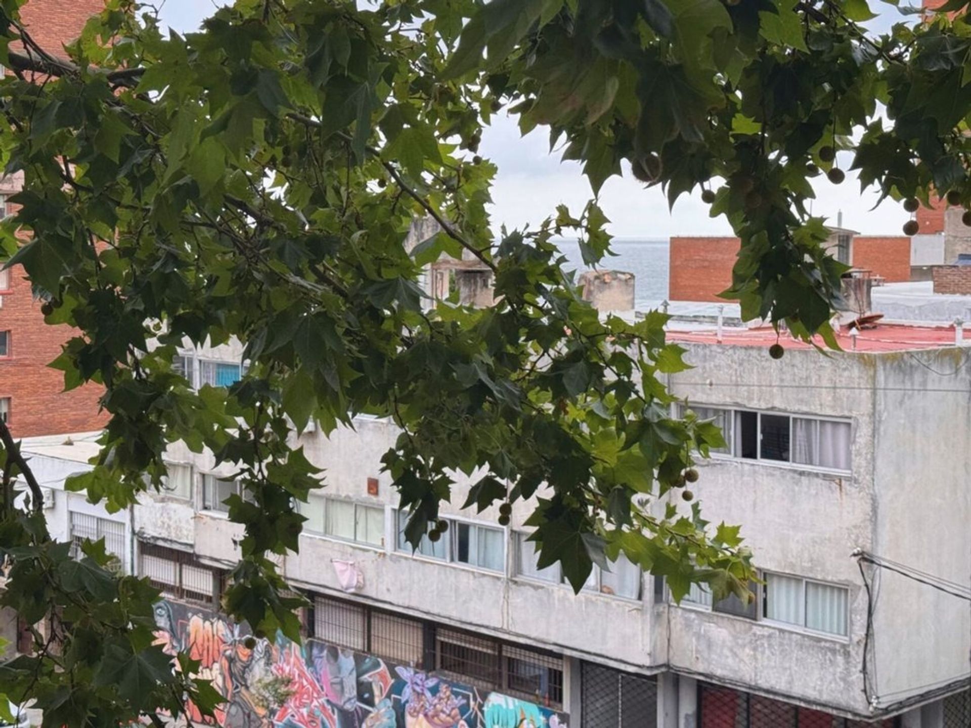 Apartamento 2 Dormitorios con Renta en Barrio Sur - 1