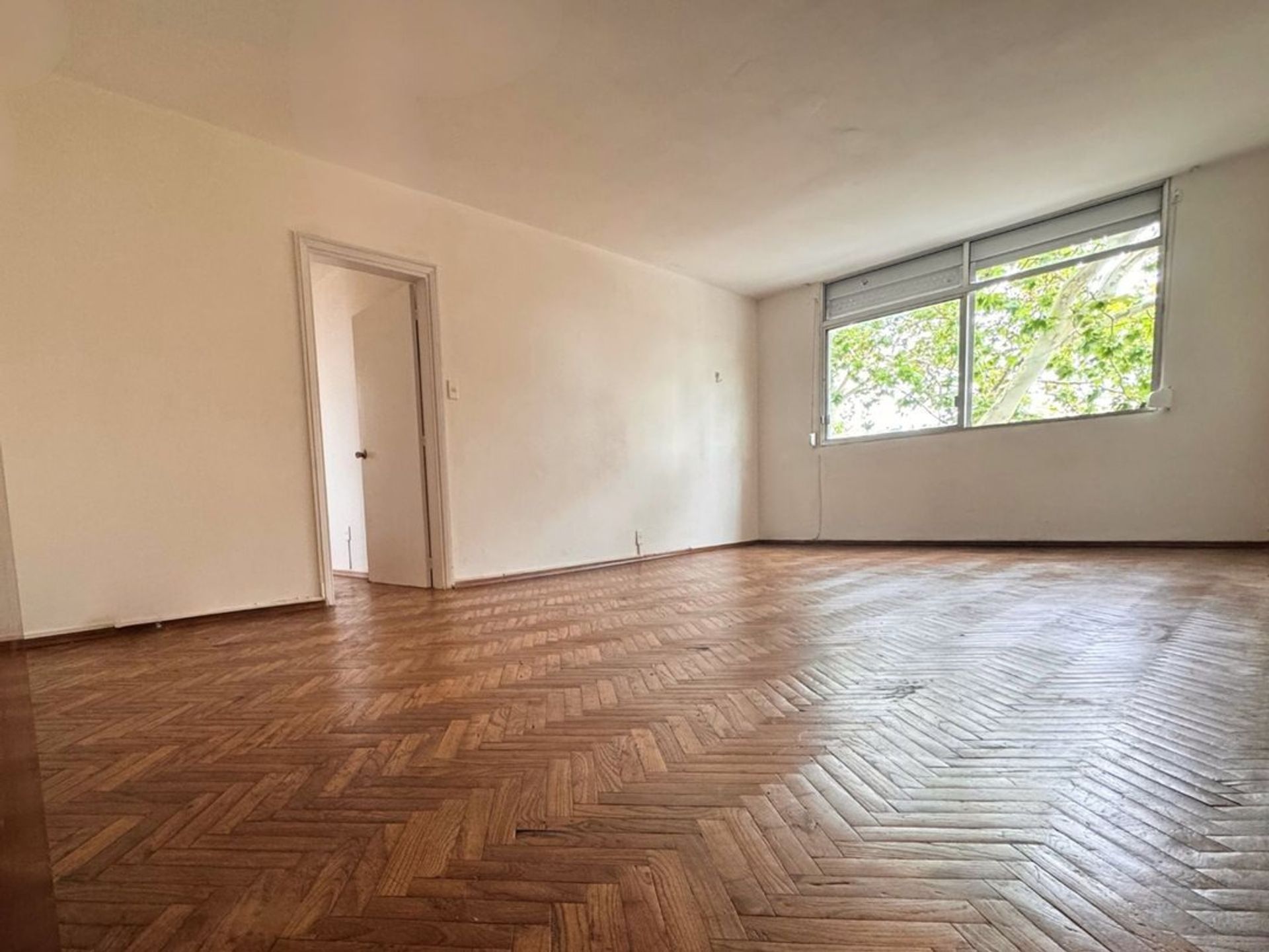 Apartamento 2 Dormitorios con Renta en Barrio Sur - 2