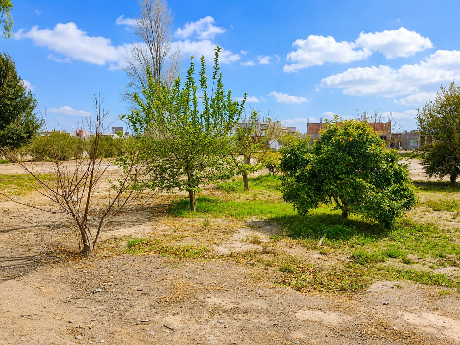 Lote en Venta en Rivadavia, San Juan