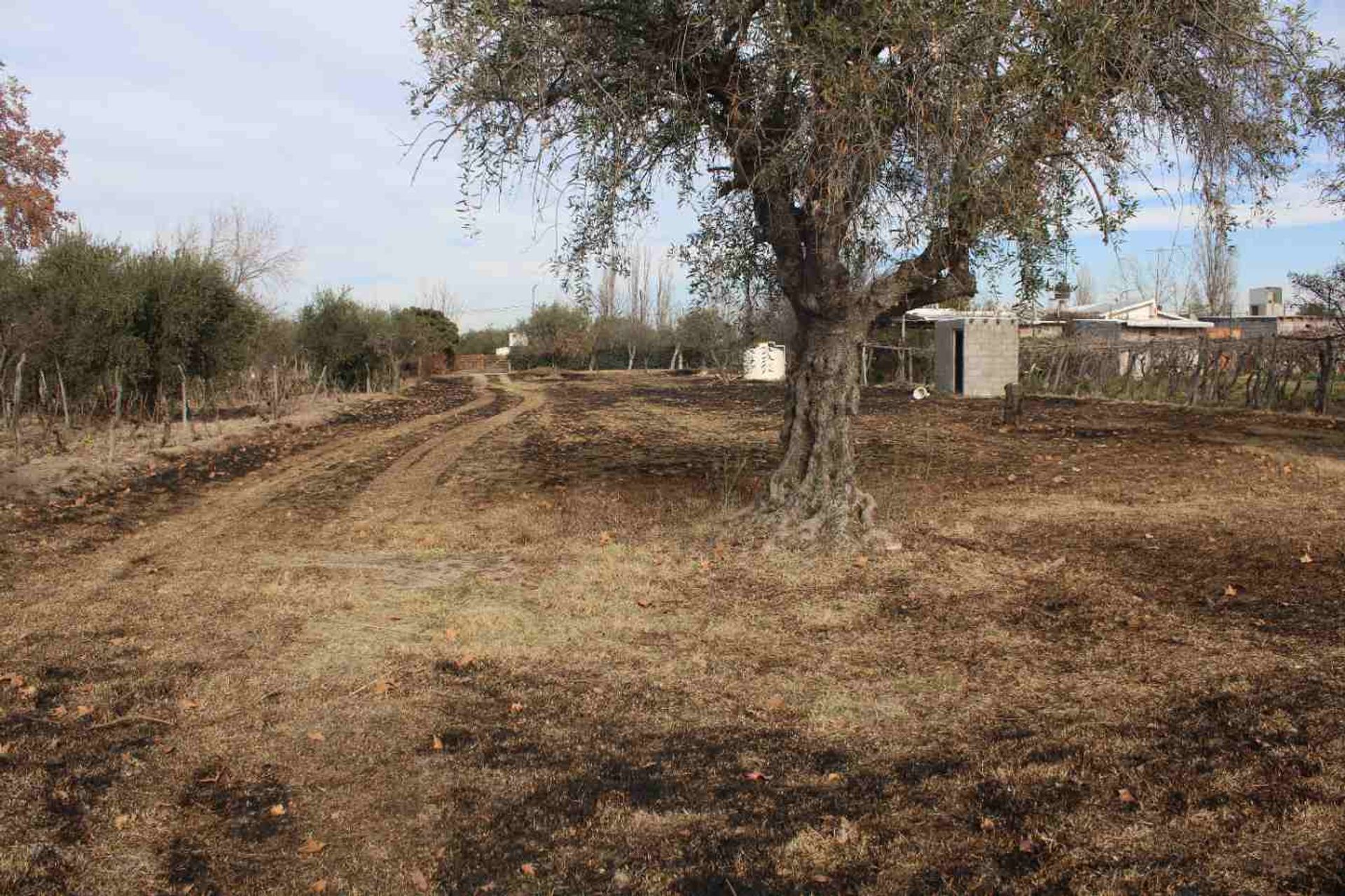 Lote en Venta en Rivadavia, Mendoza