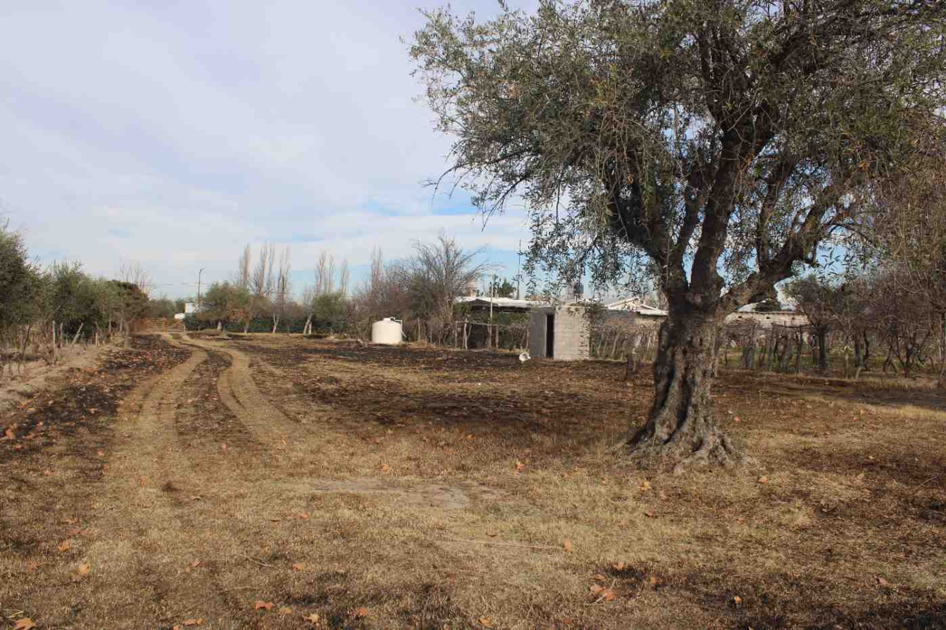 Lote en Venta en Rivadavia, Mendoza