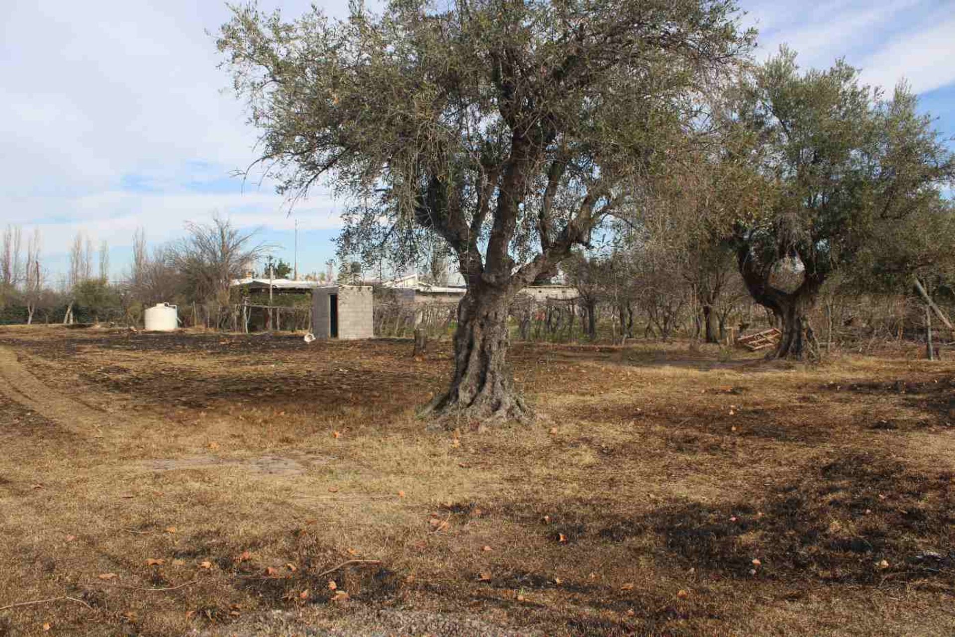 Lote en Venta en Rivadavia, Mendoza