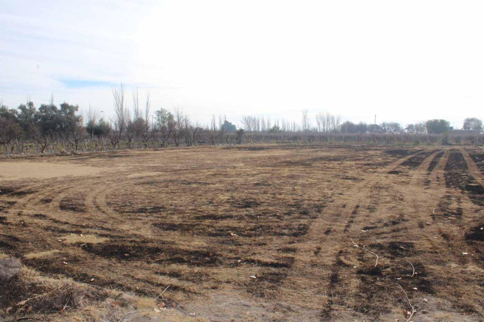 Lote en Venta en Rivadavia, Mendoza