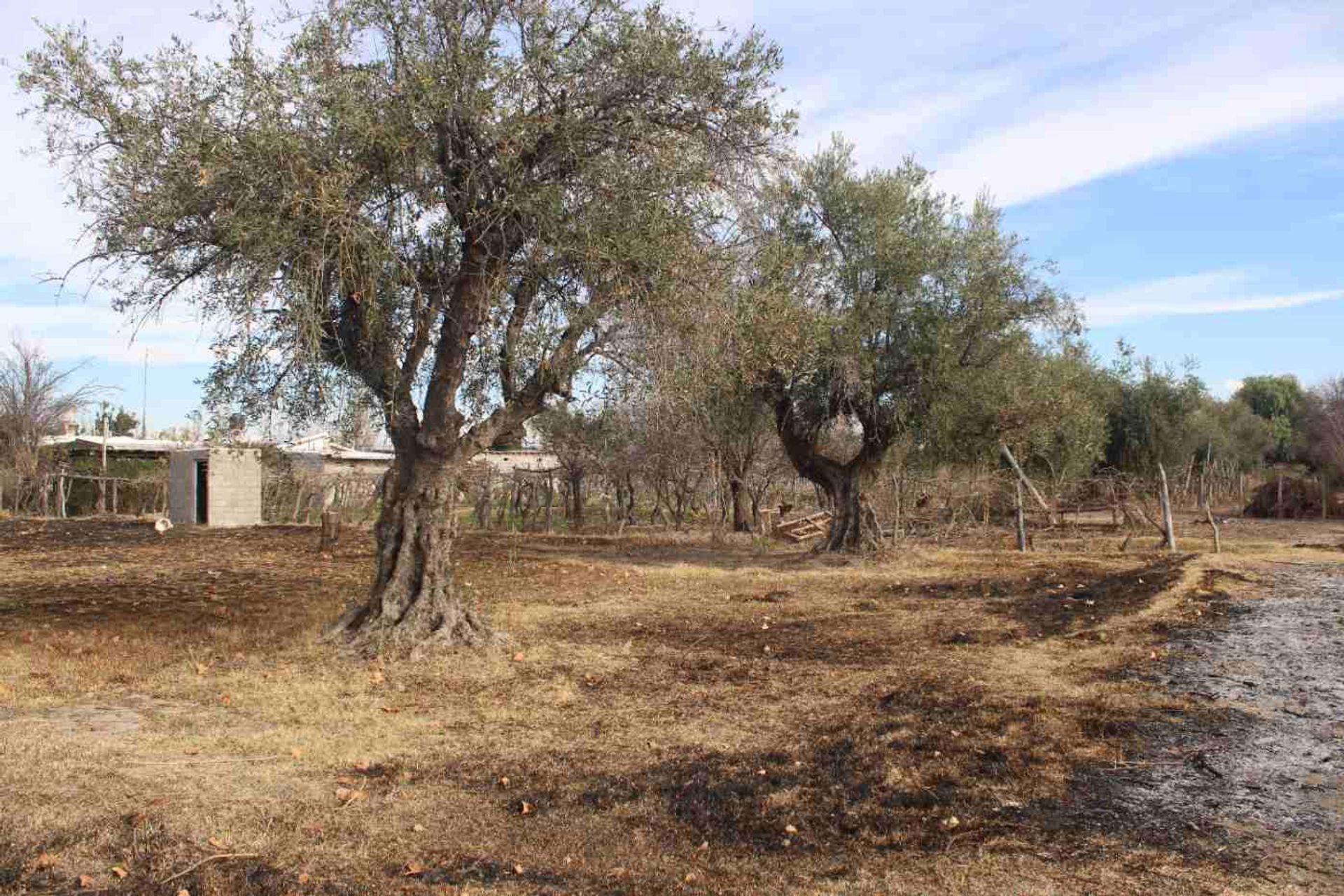 Lote en Venta en Rivadavia, Mendoza