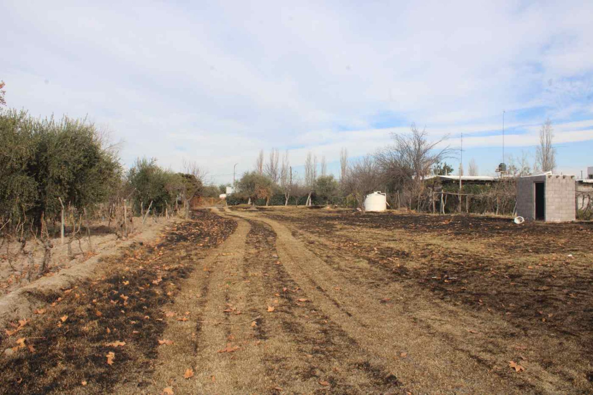 Lote en Venta en Rivadavia, Mendoza