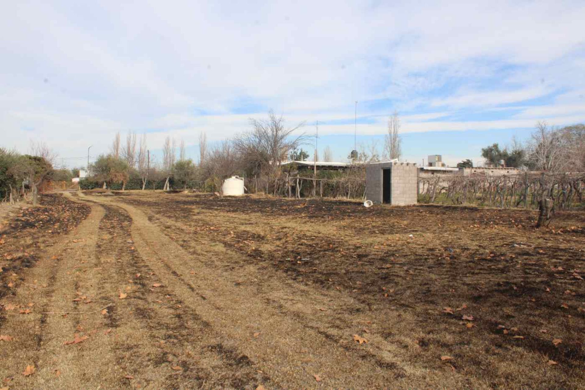 Lote en Venta en Rivadavia, Mendoza