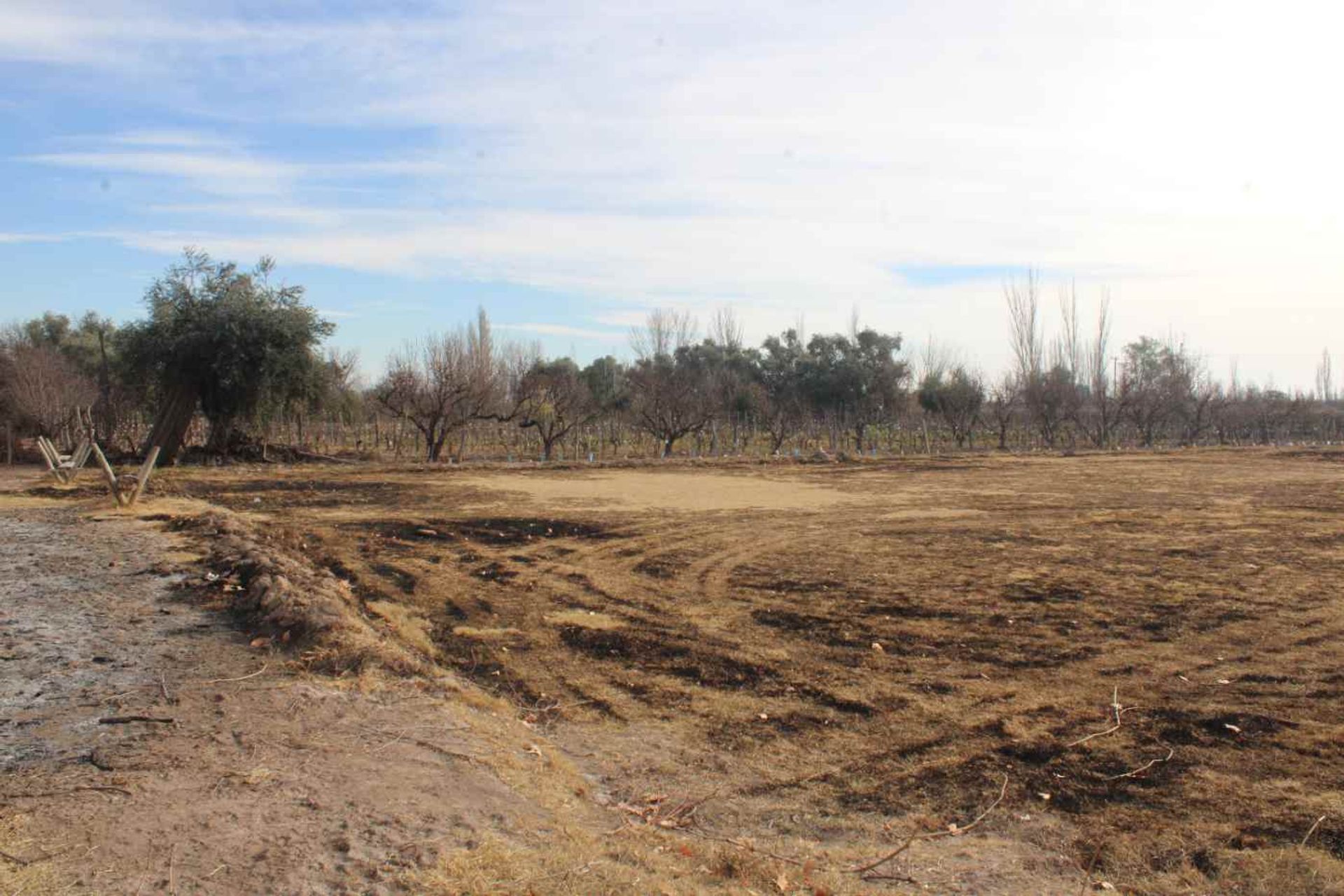 Lote en Venta en Rivadavia, Mendoza