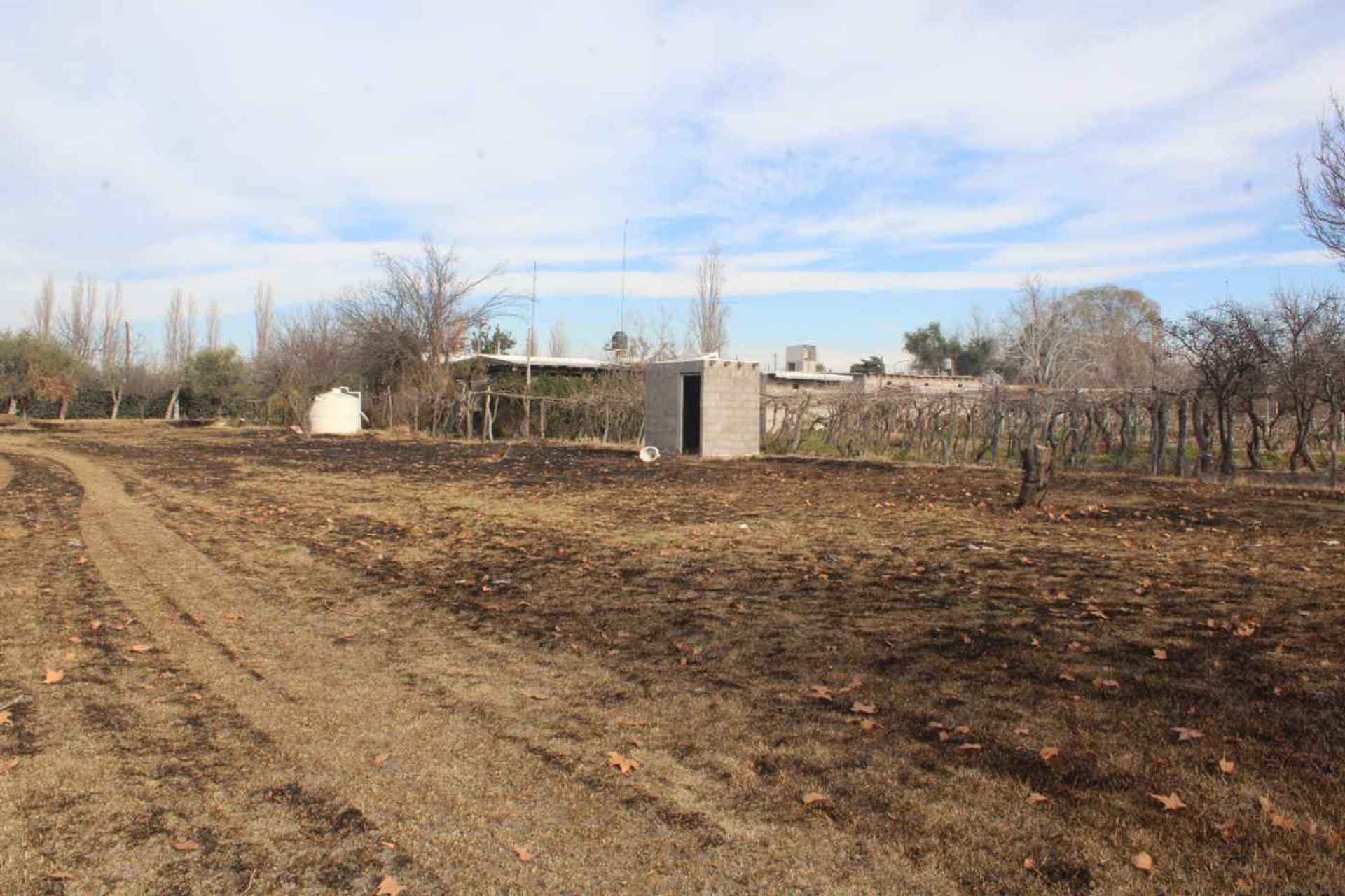 Lote en Venta en Rivadavia, Mendoza