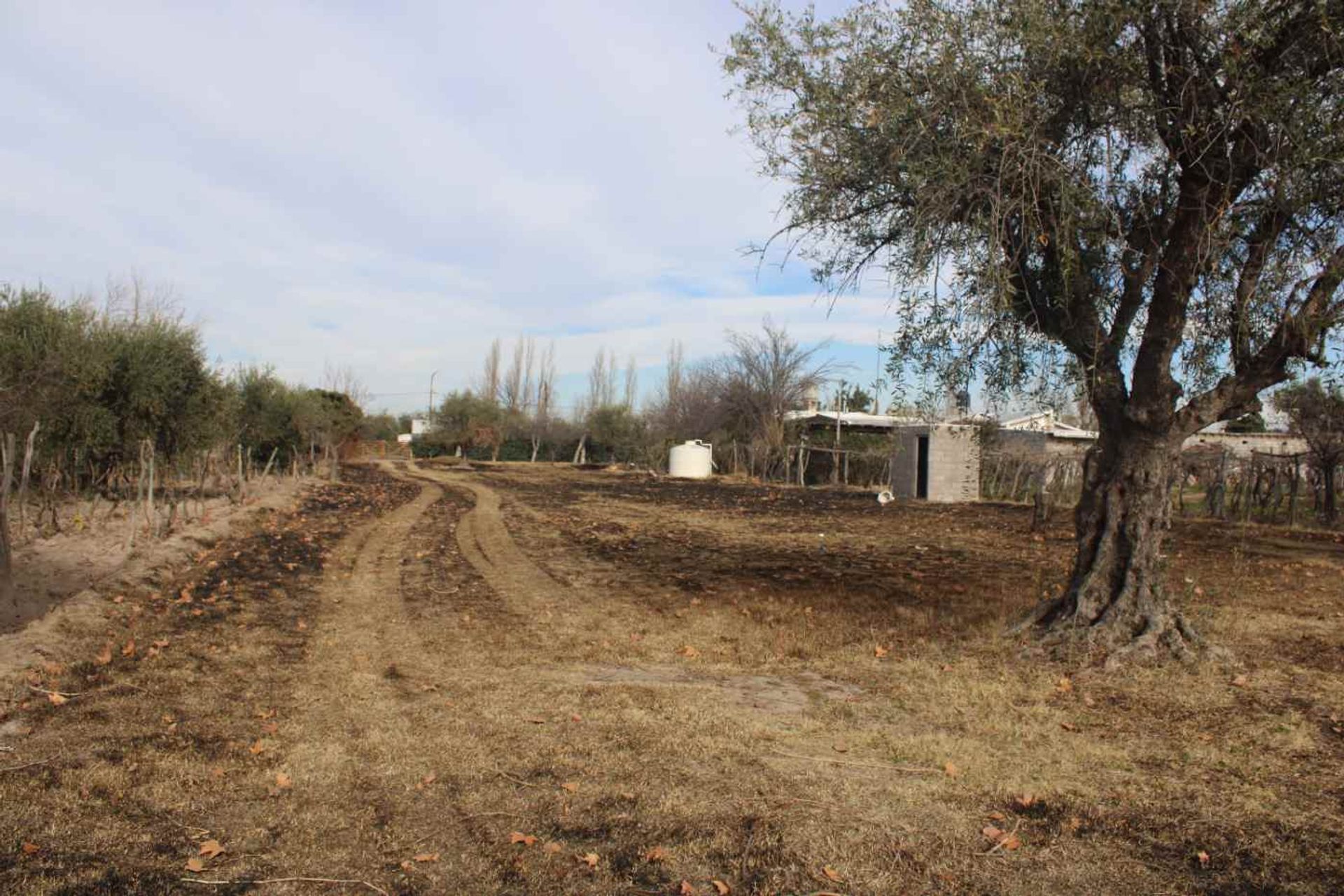 Lote en Venta en Rivadavia, Mendoza