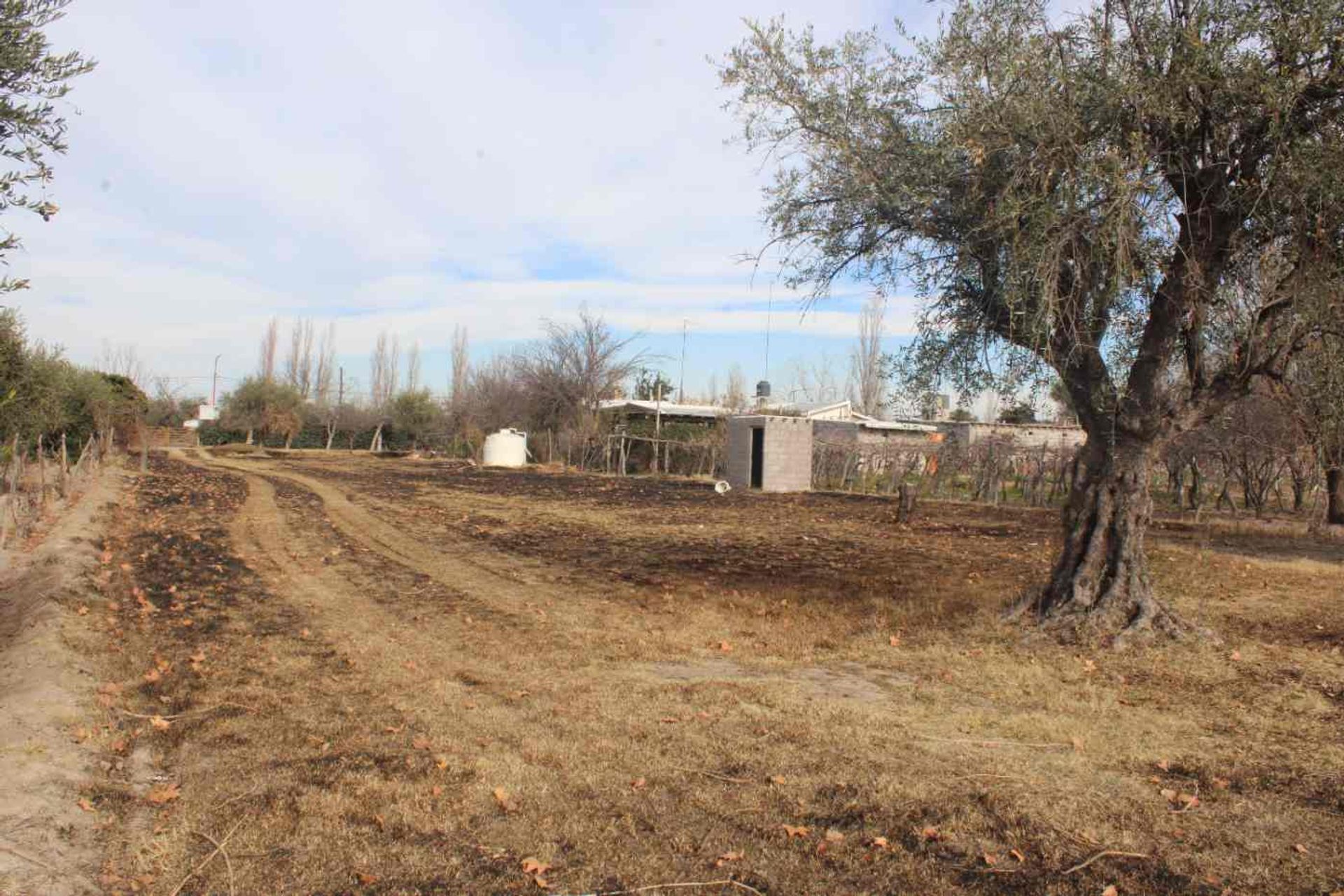 Lote en Venta en Rivadavia, Mendoza