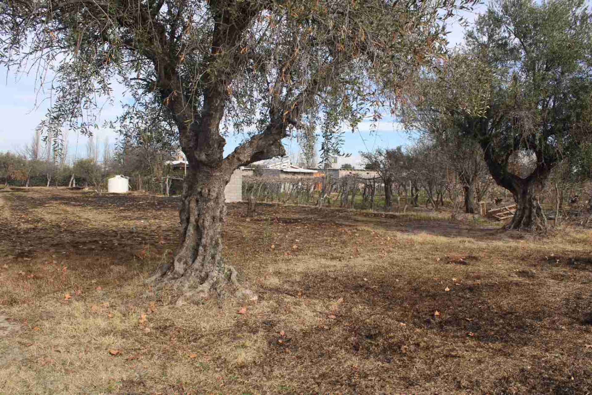 Lote en Venta en Rivadavia, Mendoza
