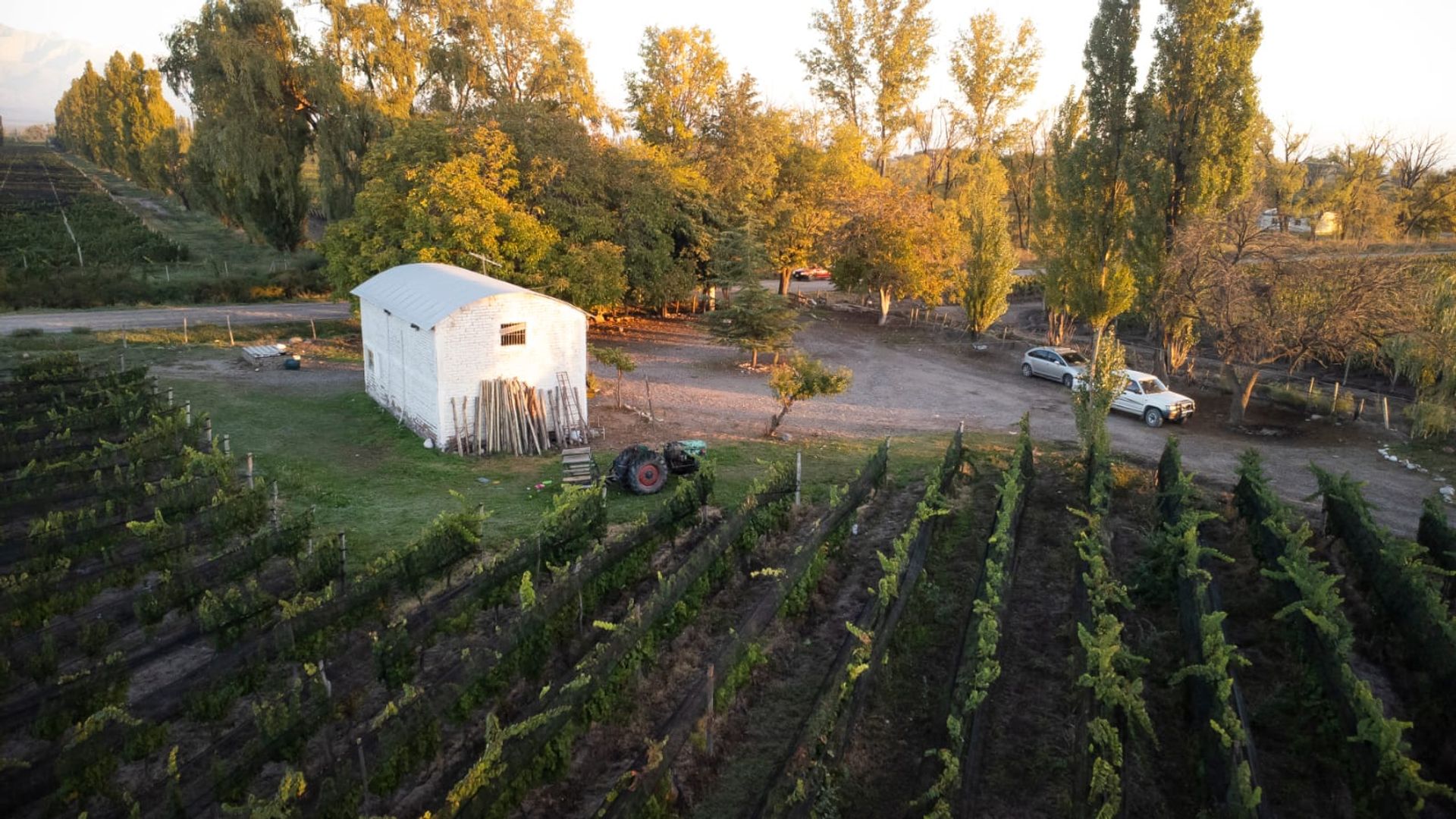 Campo en Venta en San Carlos, Mendoza