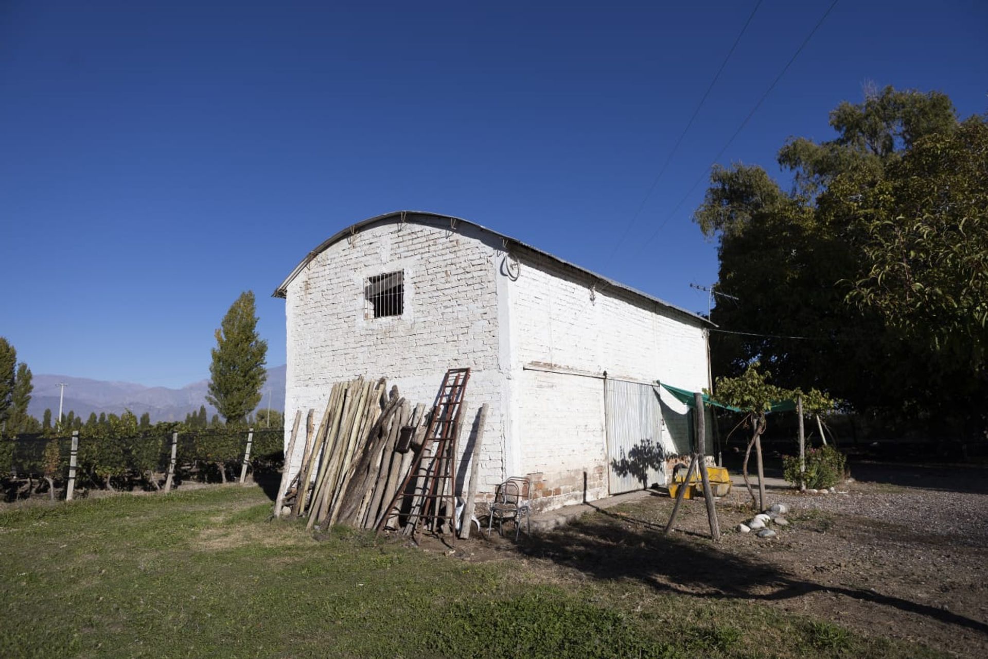 Campo en Venta en San Carlos, Mendoza