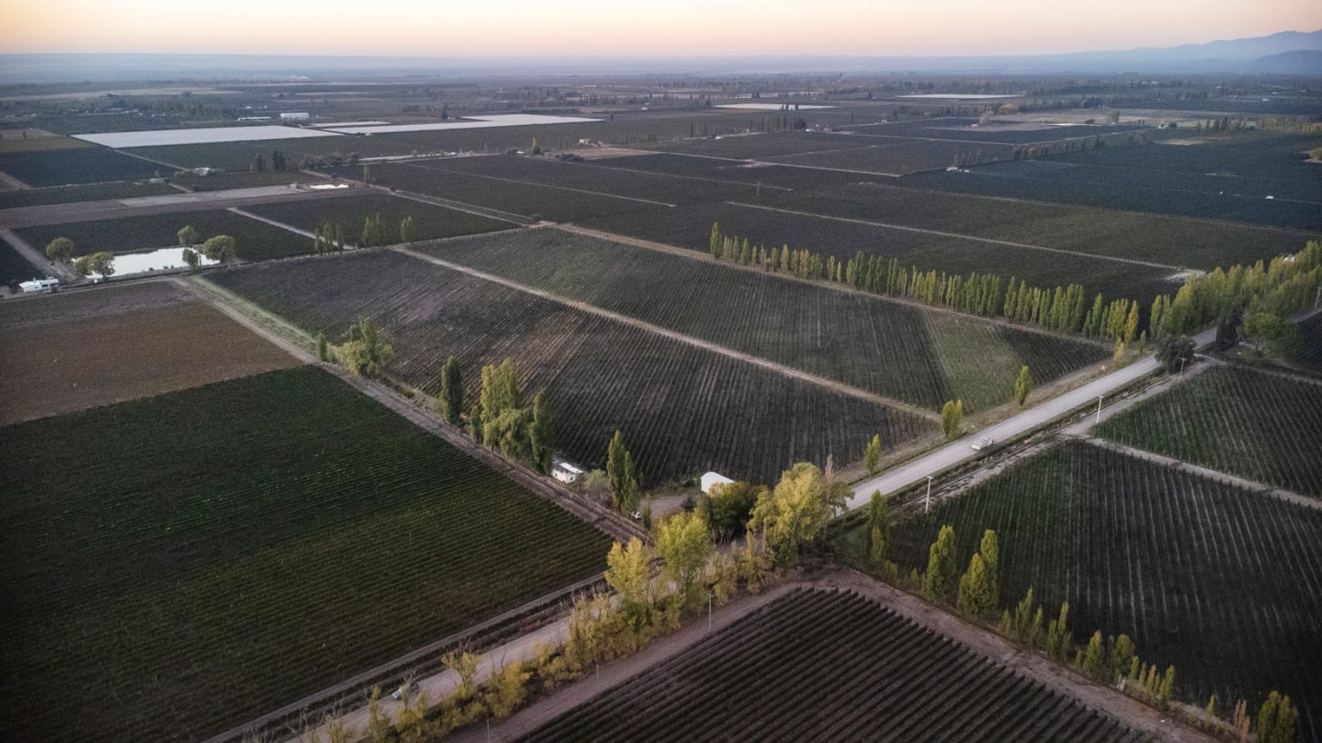 Campo en Venta en San Carlos, Mendoza
