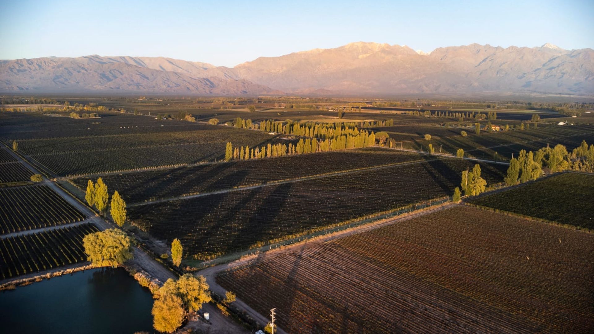 Campo en Venta en San Carlos, Mendoza