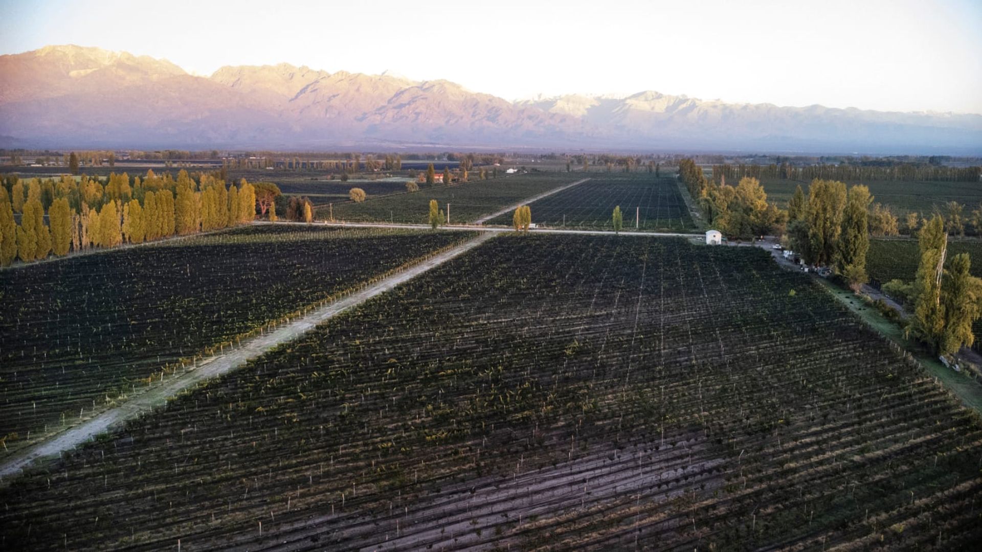 Campo en Venta en San Carlos, Mendoza