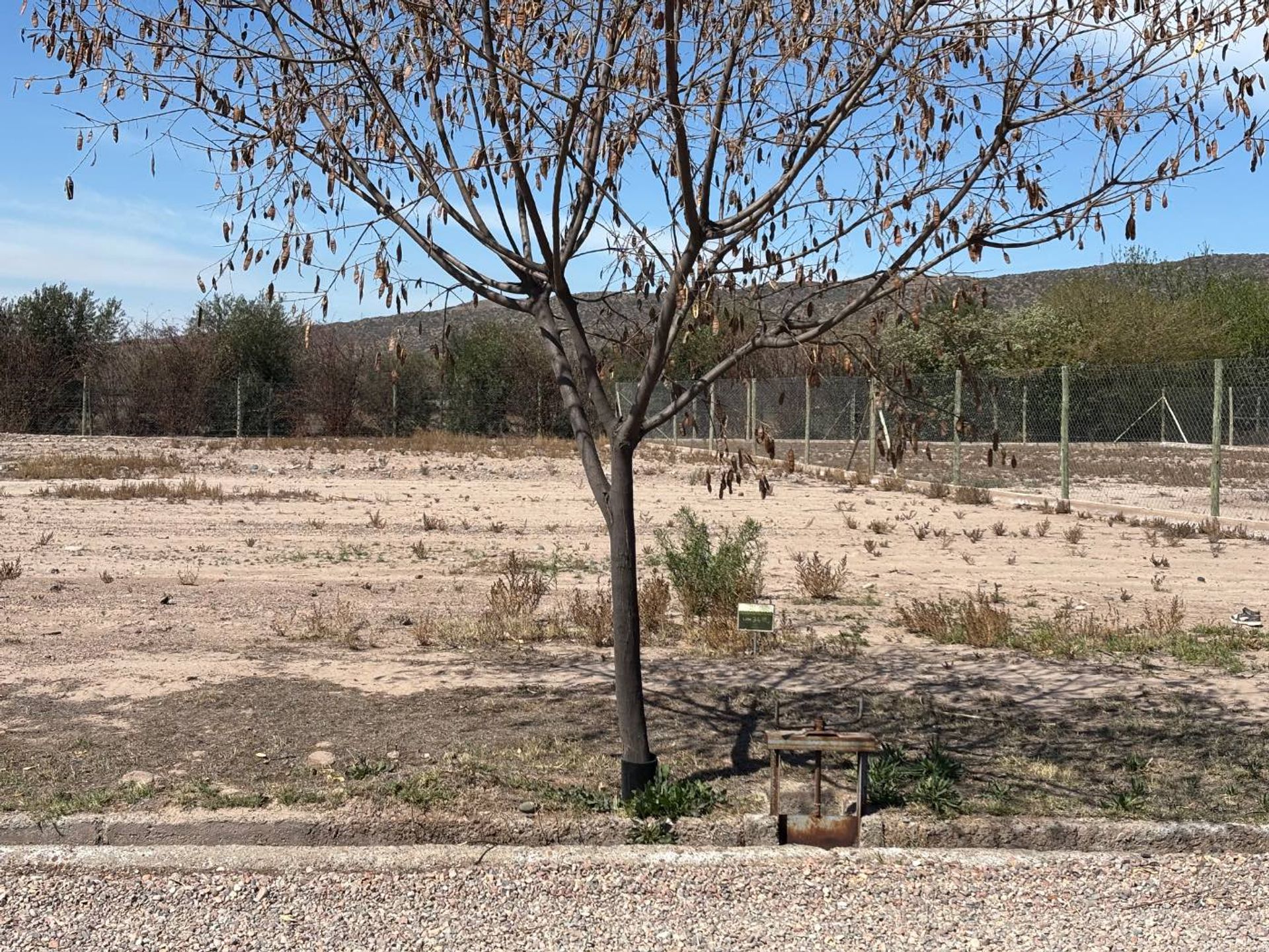 Lote en Venta en Lujan de Cuyo, Mendoza
