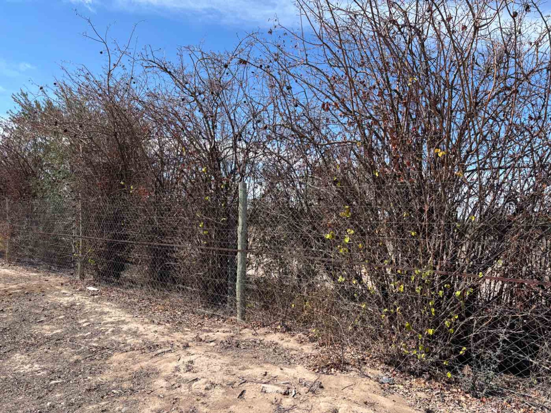 Lote en Venta en Lujan de Cuyo, Mendoza