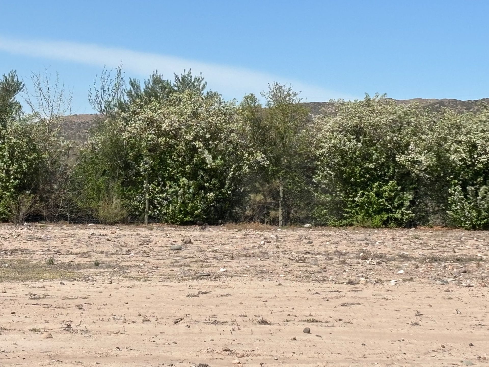 Lote en Venta en Lujan de Cuyo, Mendoza