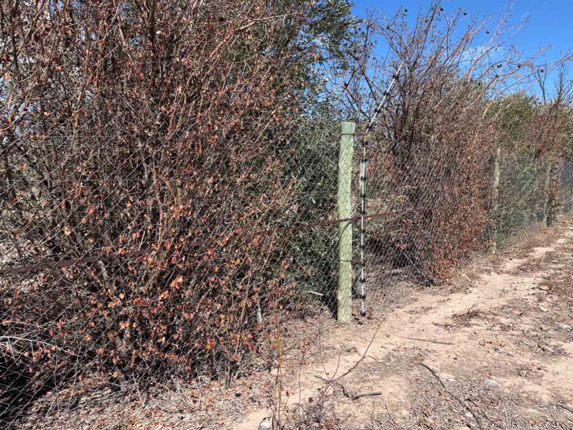 Lote en Venta en Lujan de Cuyo, Mendoza