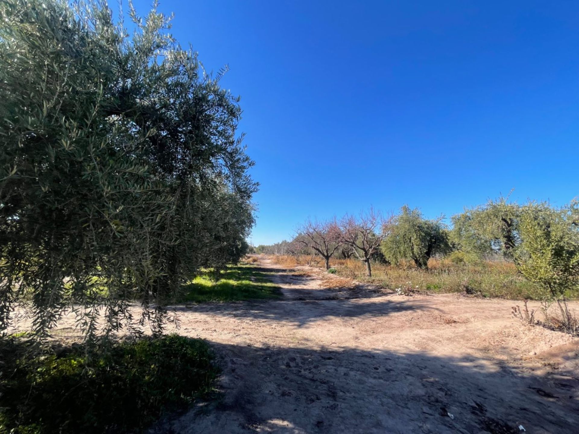 Lote en Venta en Maipu, Mendoza