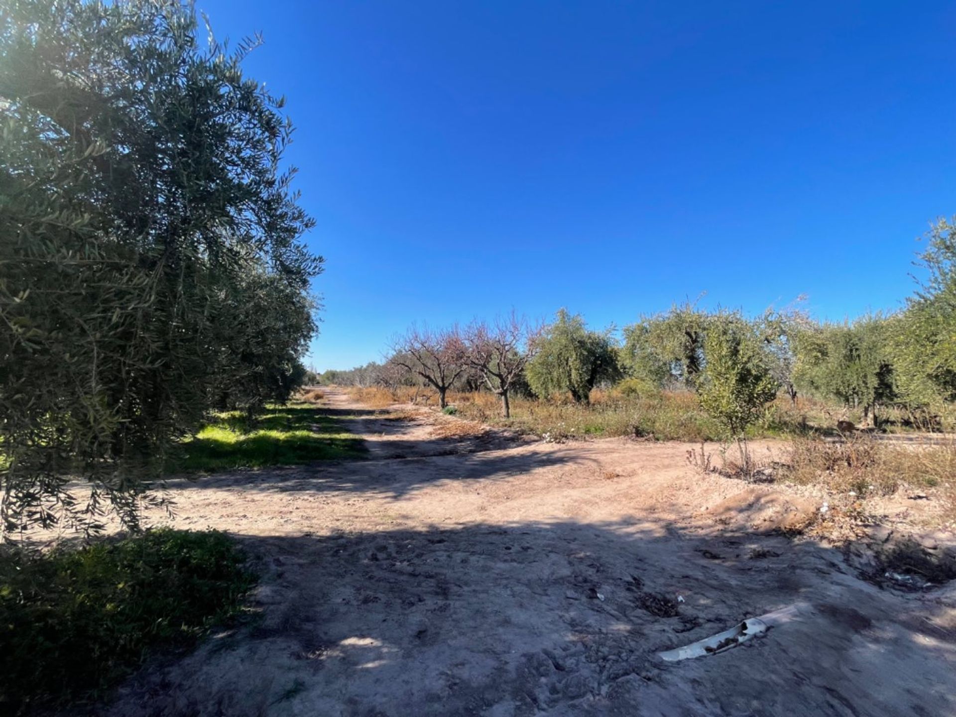 Lote en Venta en Maipu, Mendoza