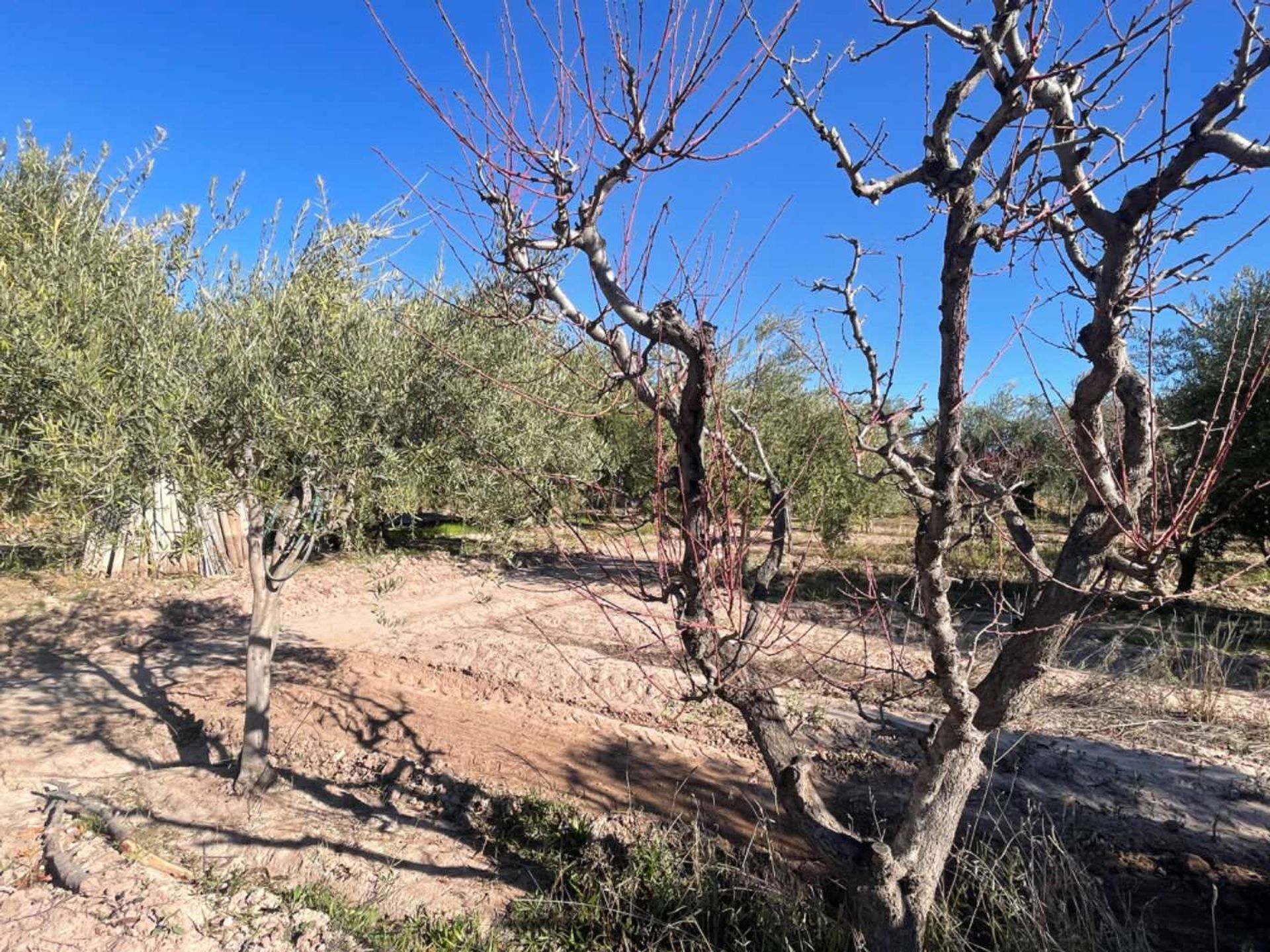 Lote en Venta en Maipu, Mendoza