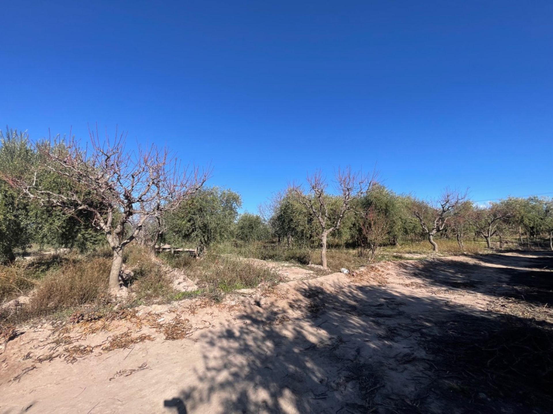 Lote en Venta en Maipu, Mendoza