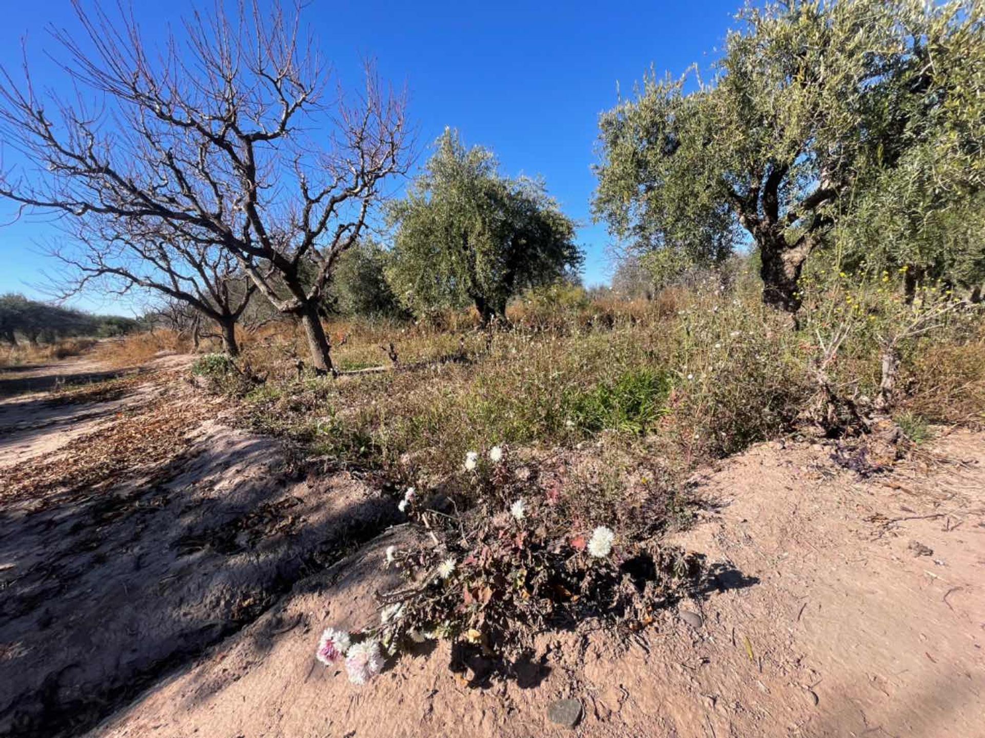 Lote en Venta en Maipu, Mendoza