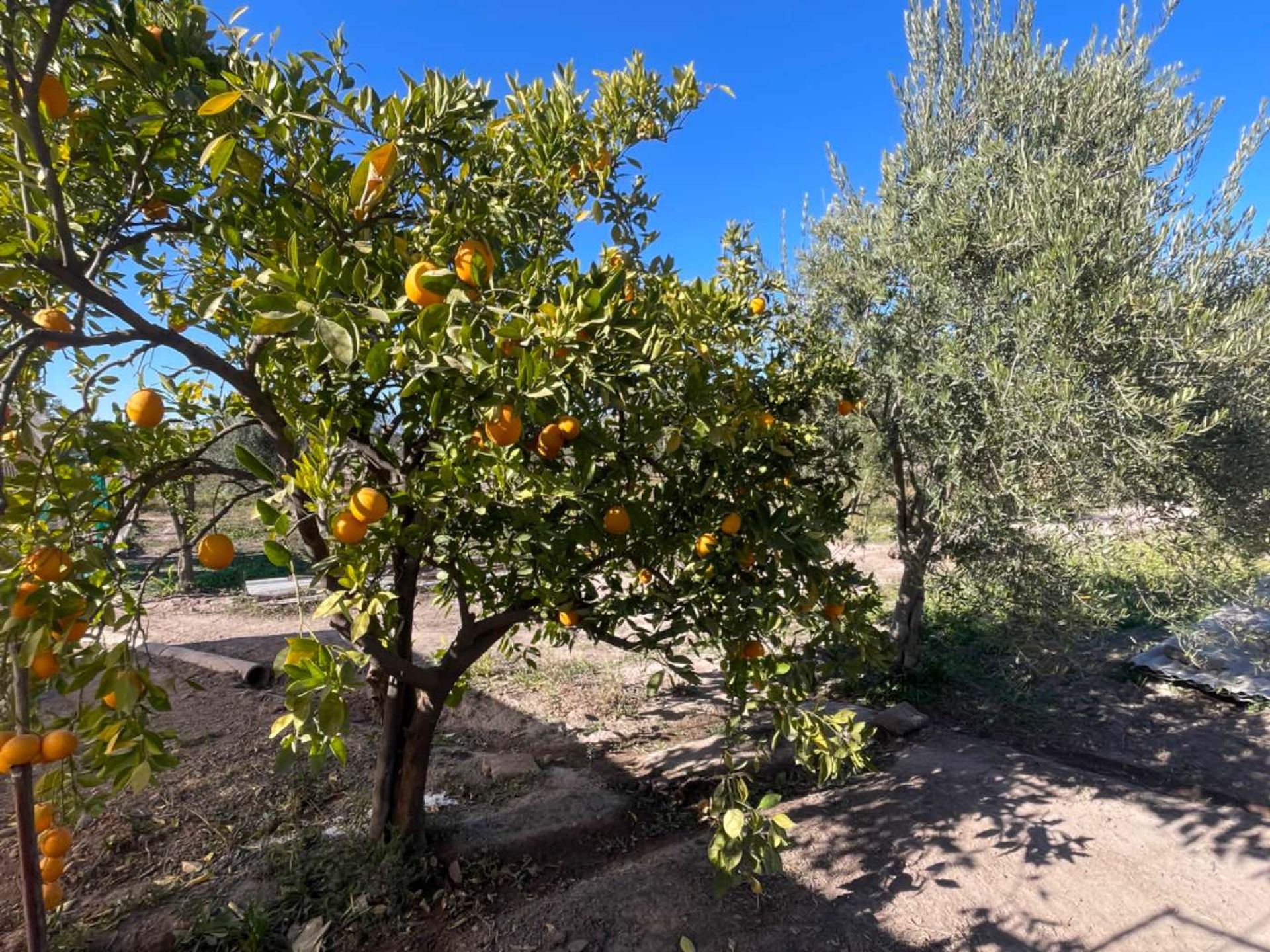 Lote en Venta en Maipu, Mendoza