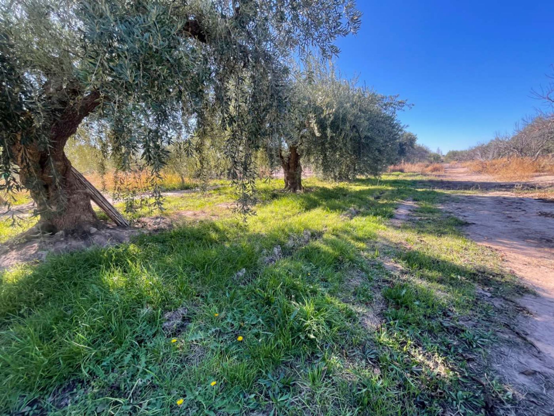 Lote en Venta en Maipu, Mendoza