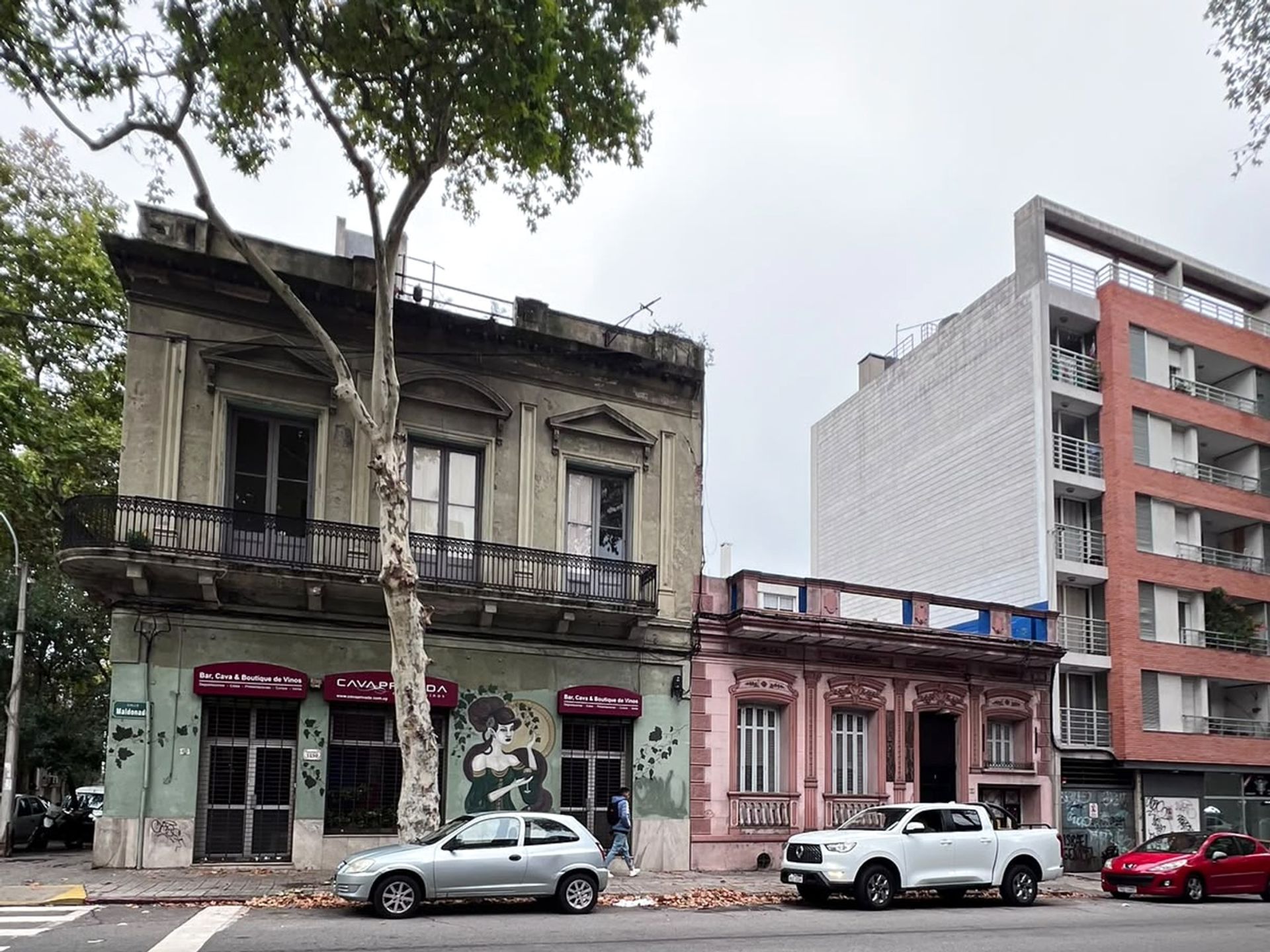 VENTA 2 PADRONES CONTIGUOS 339 m² LEY VIS - 1