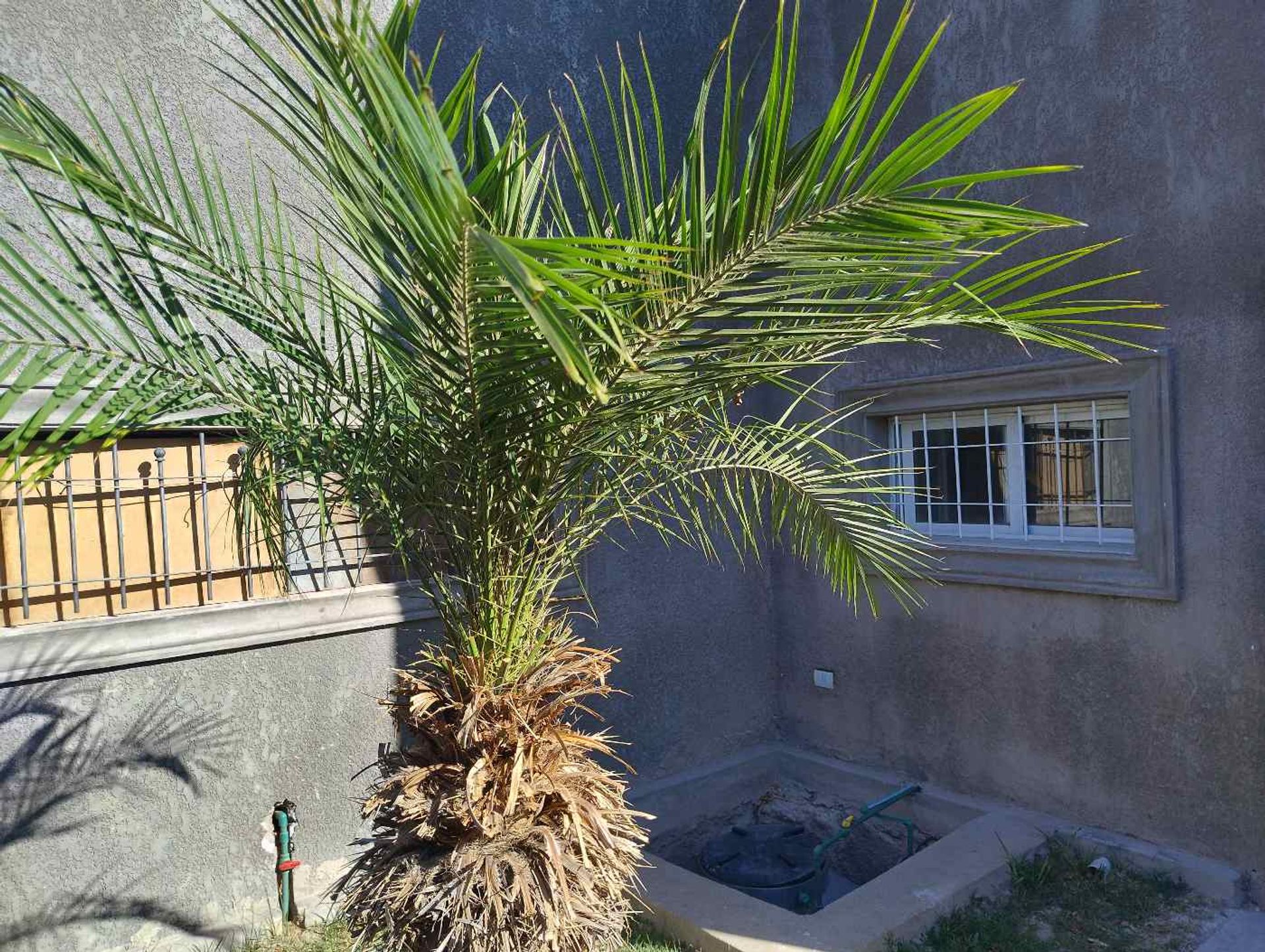 Departamento en Alquiler en Rivadavia, San Juan