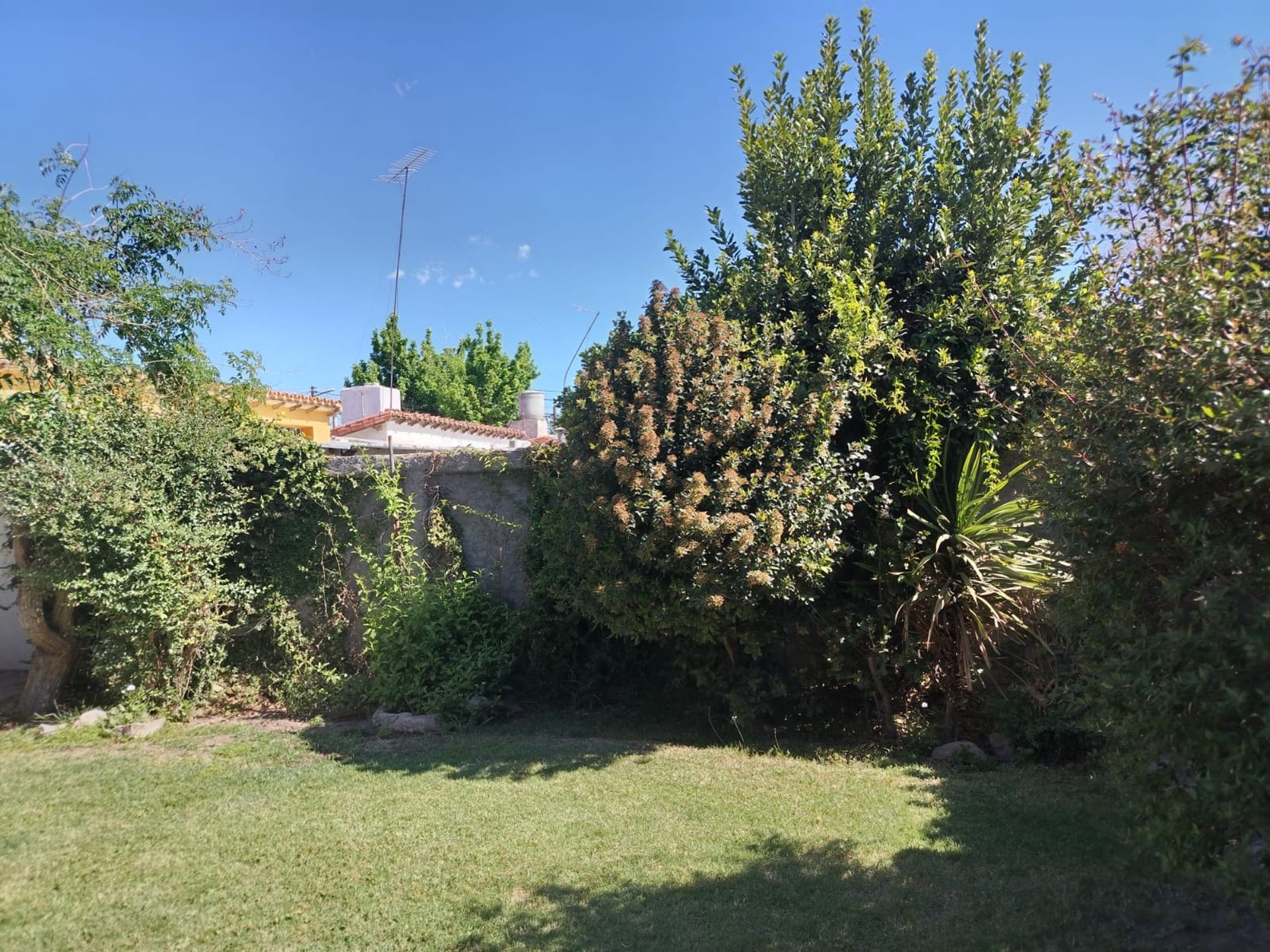 Casa en Alquiler en San Martin, Mendoza