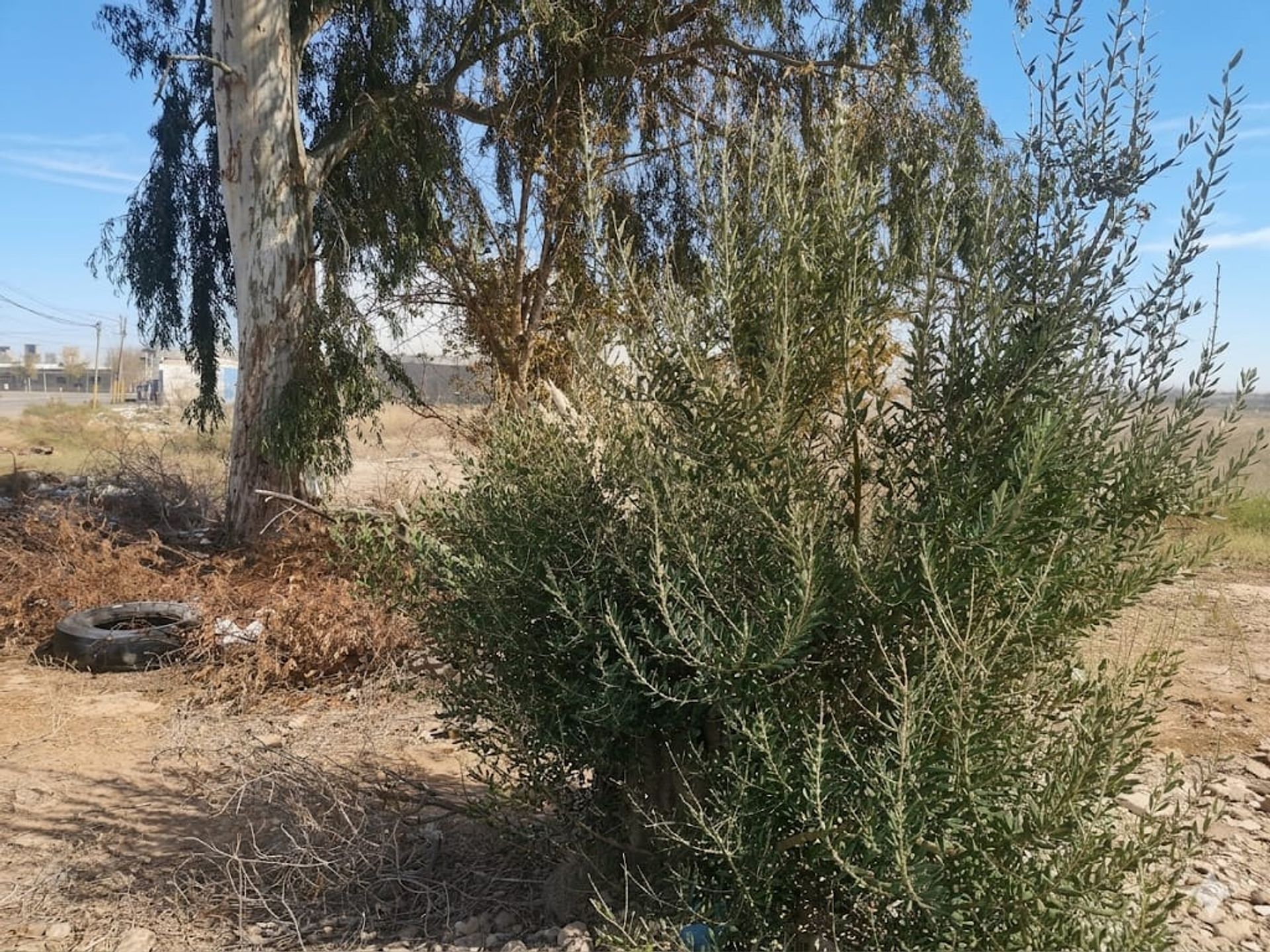 Lote en Venta en Santa Lucia, San Juan