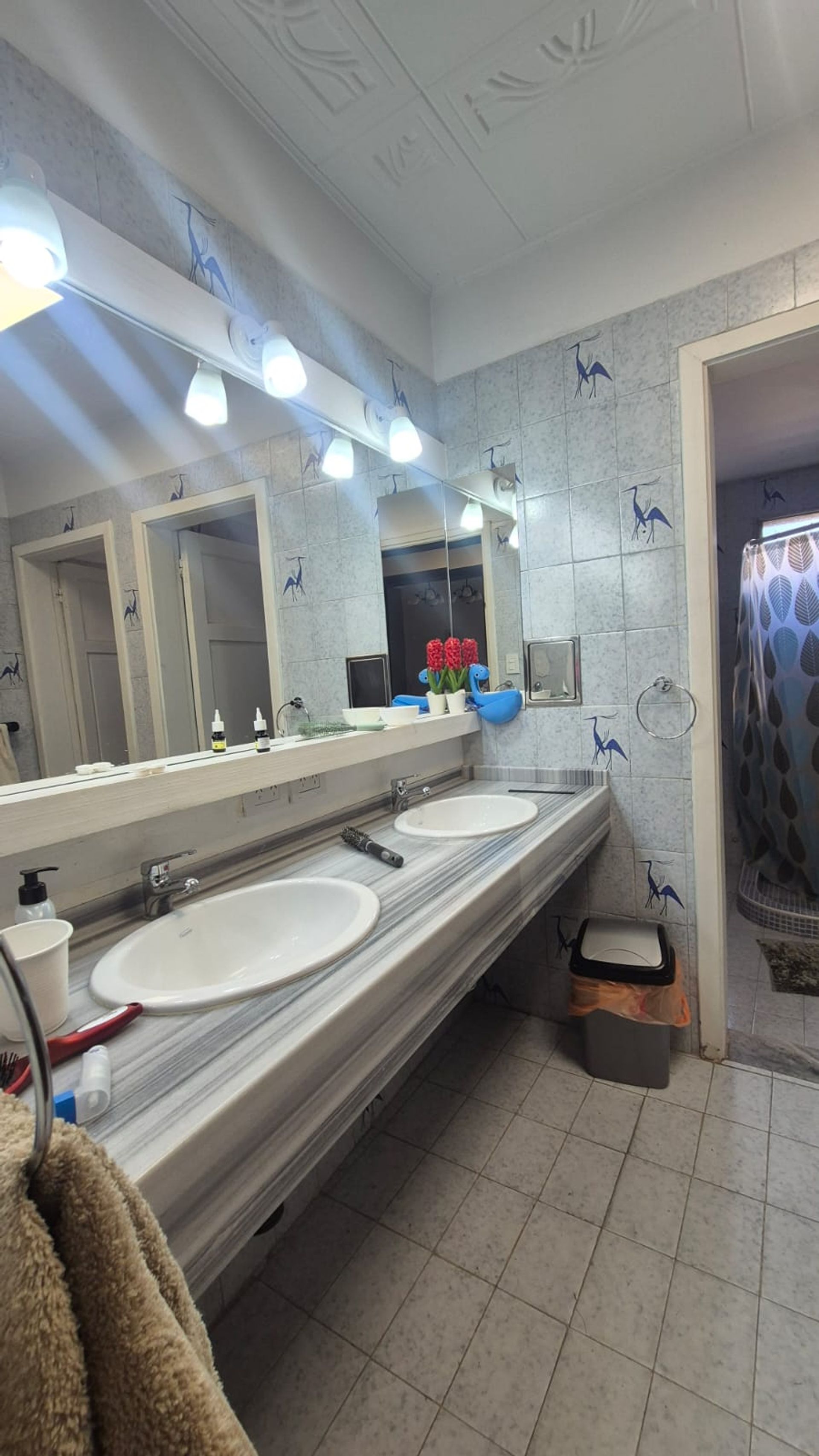 Casa en Venta en San Rafael, Mendoza