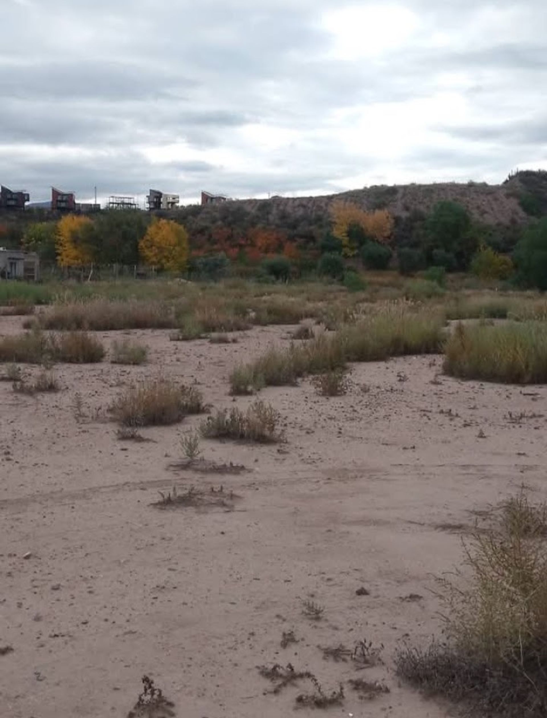 Lote en Venta en Lujan de Cuyo, Mendoza