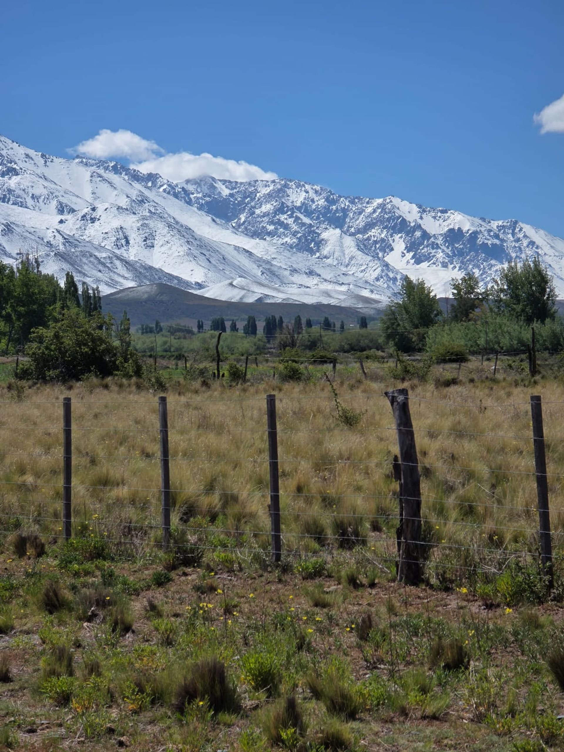 Lote en Venta en Tupungato, Mendoza