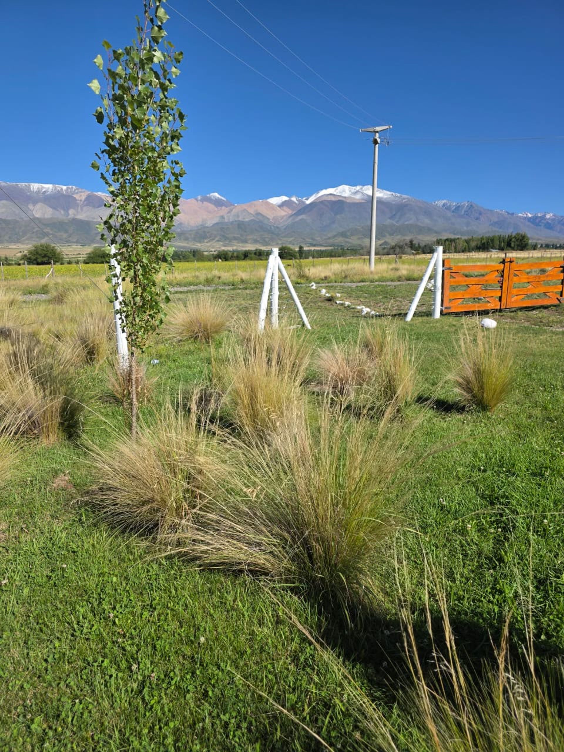 Lote en Venta en Tupungato, Mendoza