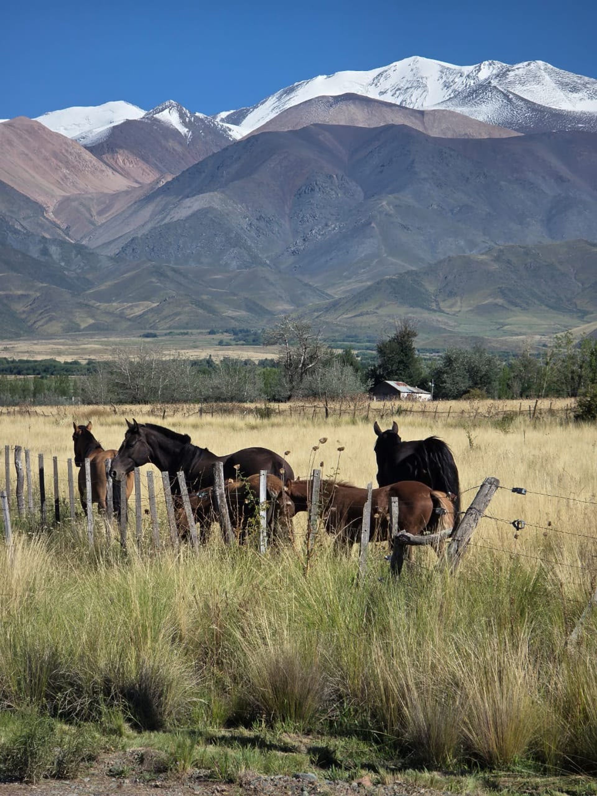 Lote en Venta en Tupungato, Mendoza